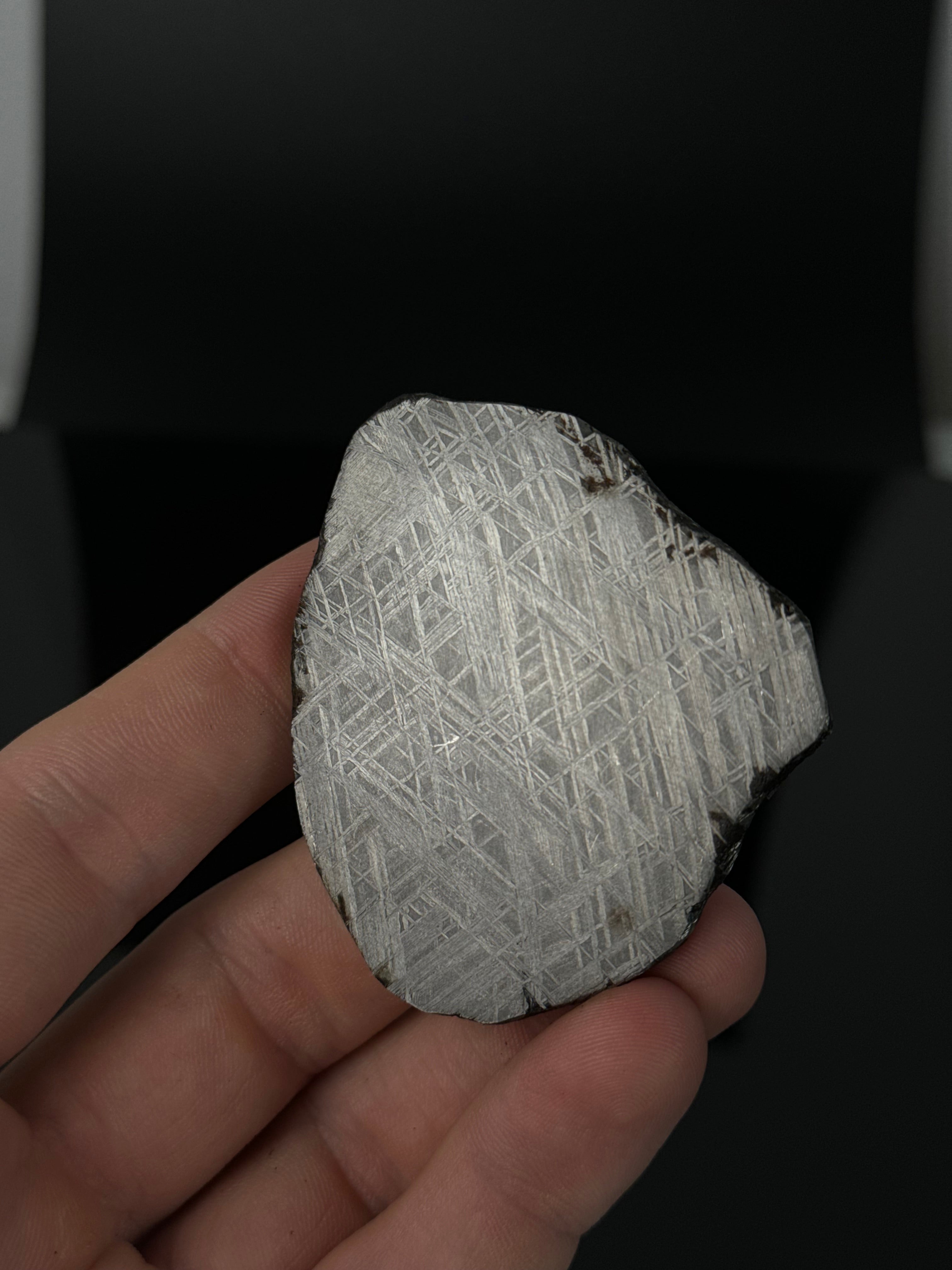 MUONIONALUSTA METEORITE, SWEDEN 80,80 GRAMS.