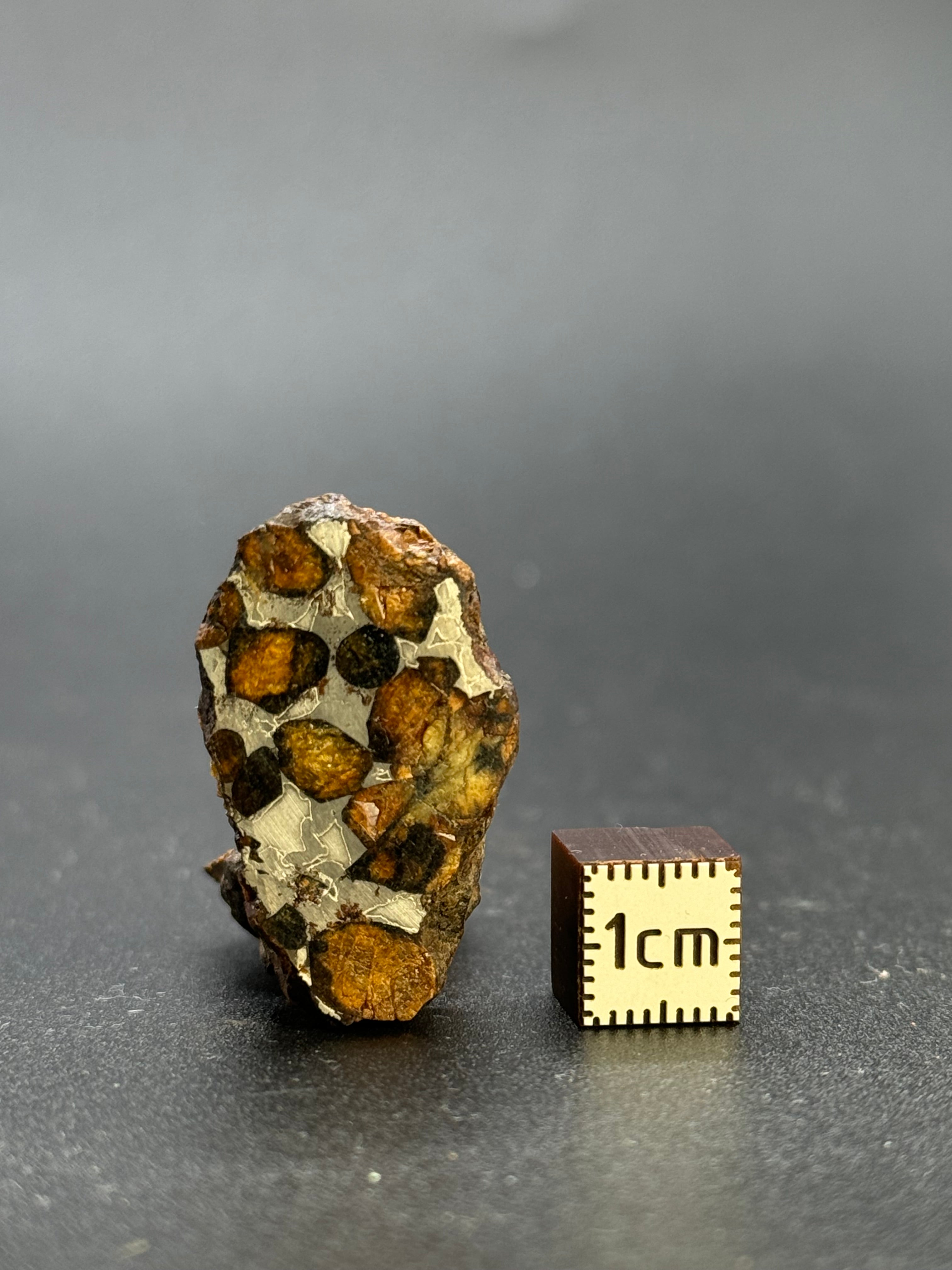 SERICHO PALLASITE METEORITE, KENYA. 13,40 GRAMS END-CUT