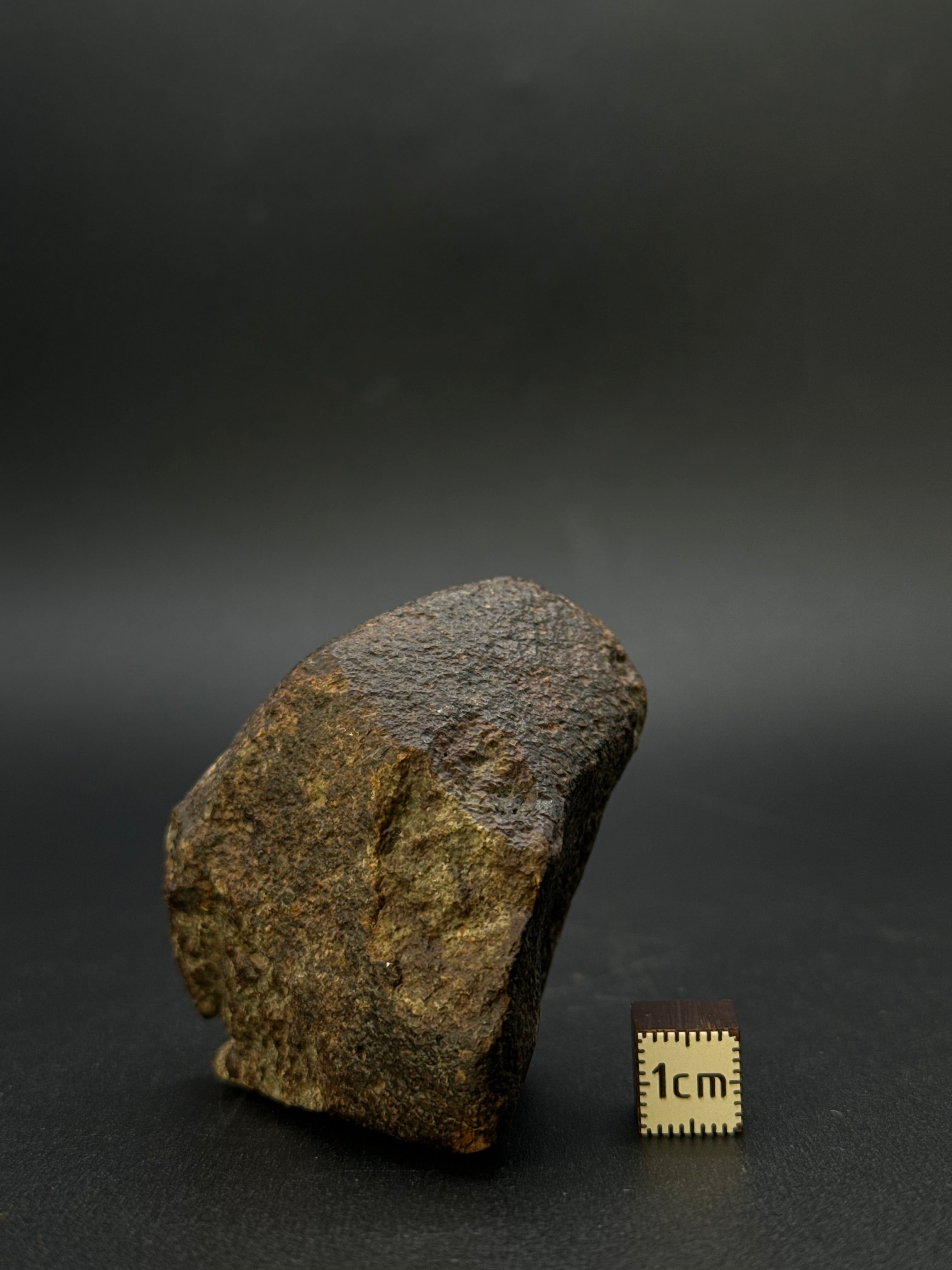 CHONDRITE METEORITE, NORTH WEST AFRICA. 171 GRAMS.