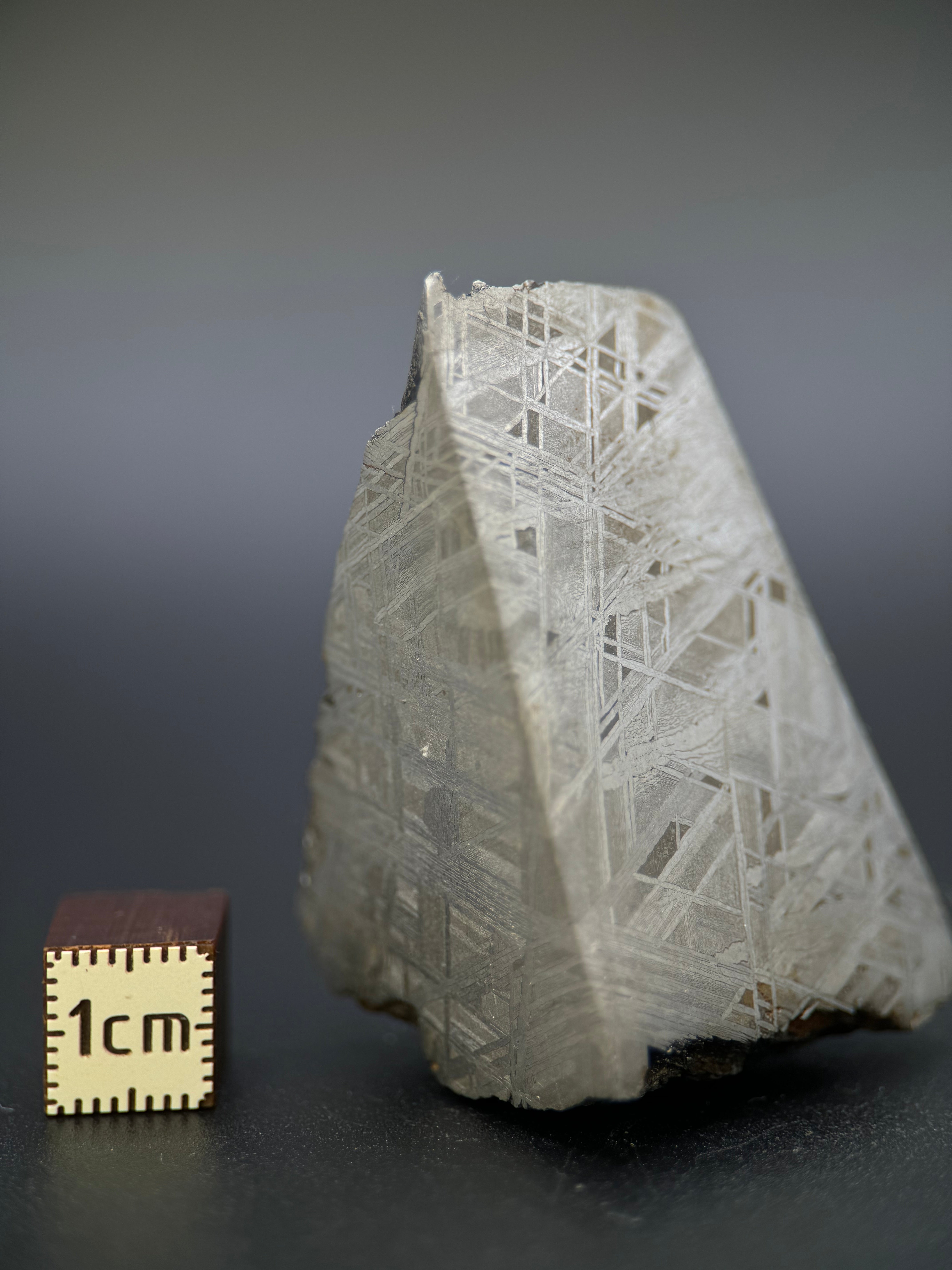 MUONIONALUSTA METEORITE, SWEDEN. 141,05 GRAMS END-CUT