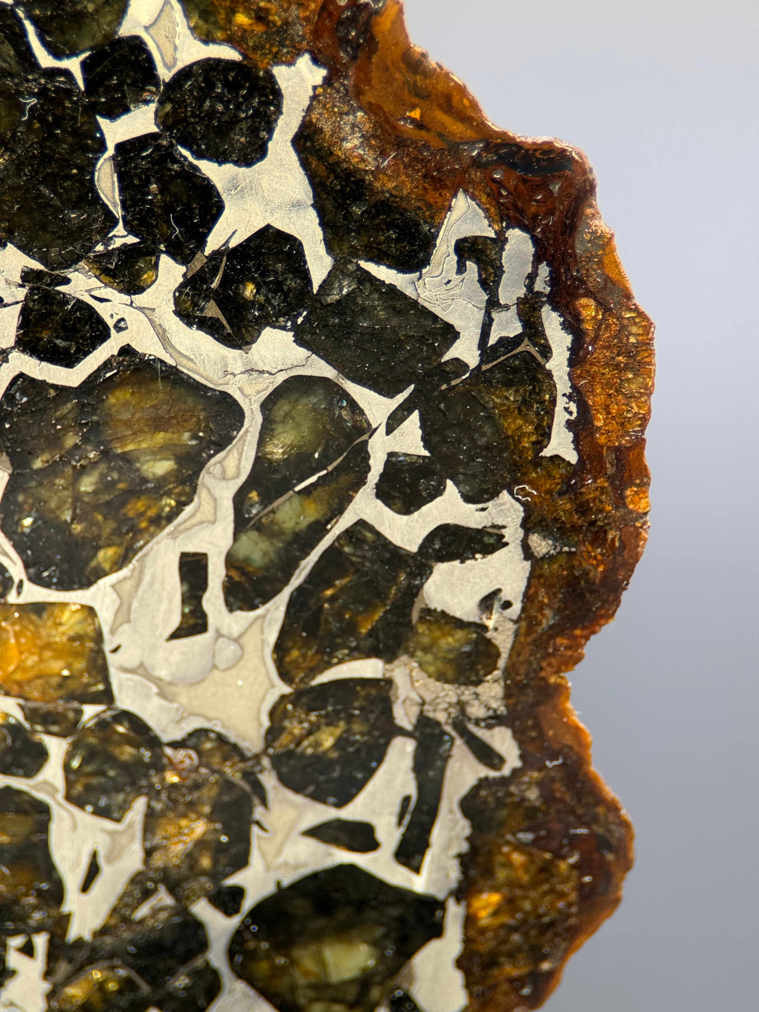 SEYMCHAN METEORITE, MAGADAN REGION, RUSSIA. 32,90 GRAMS.