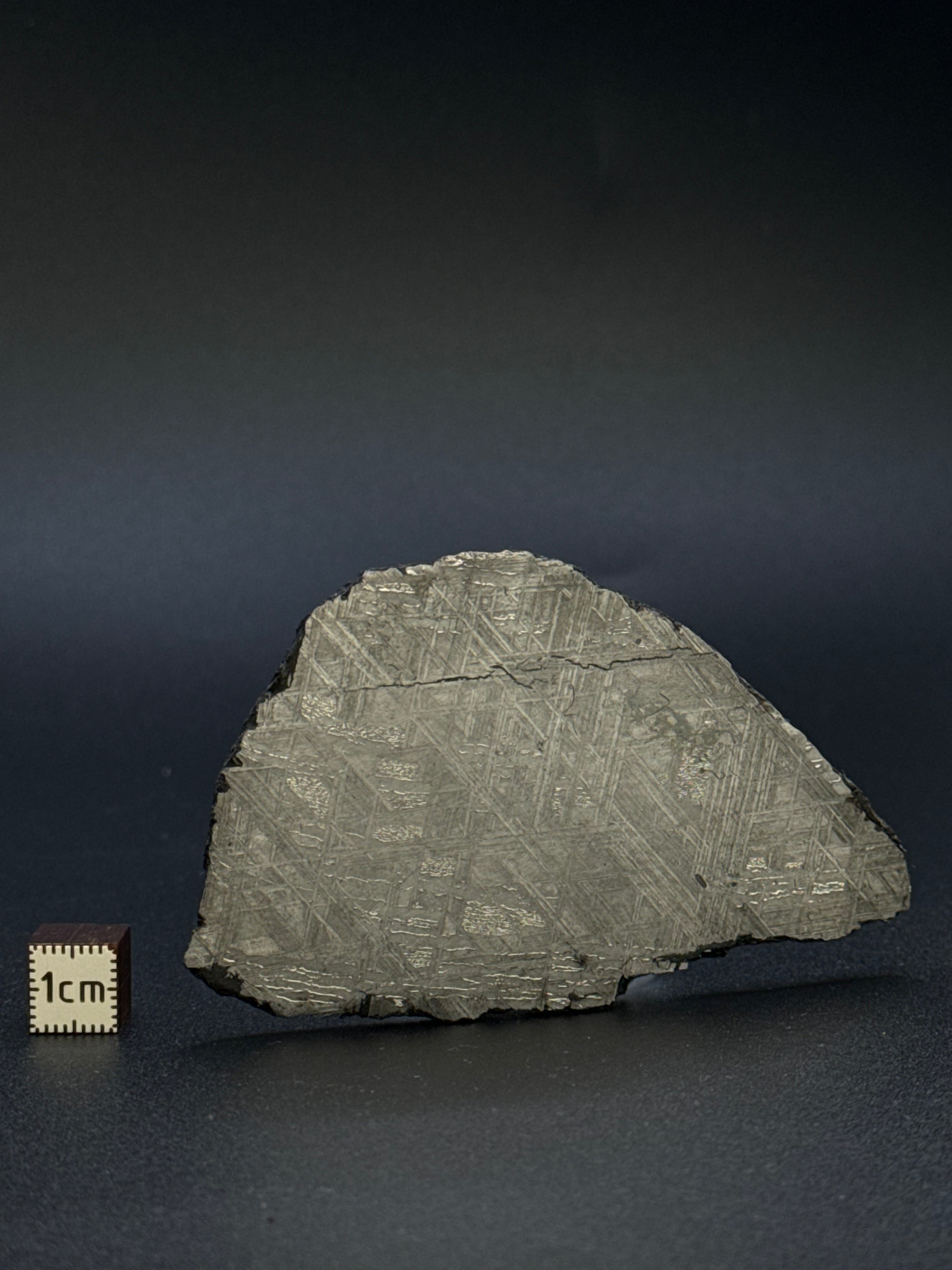 MUONIONALUSTA METEORITE, SWEDEN. 98,30 GRAMS.