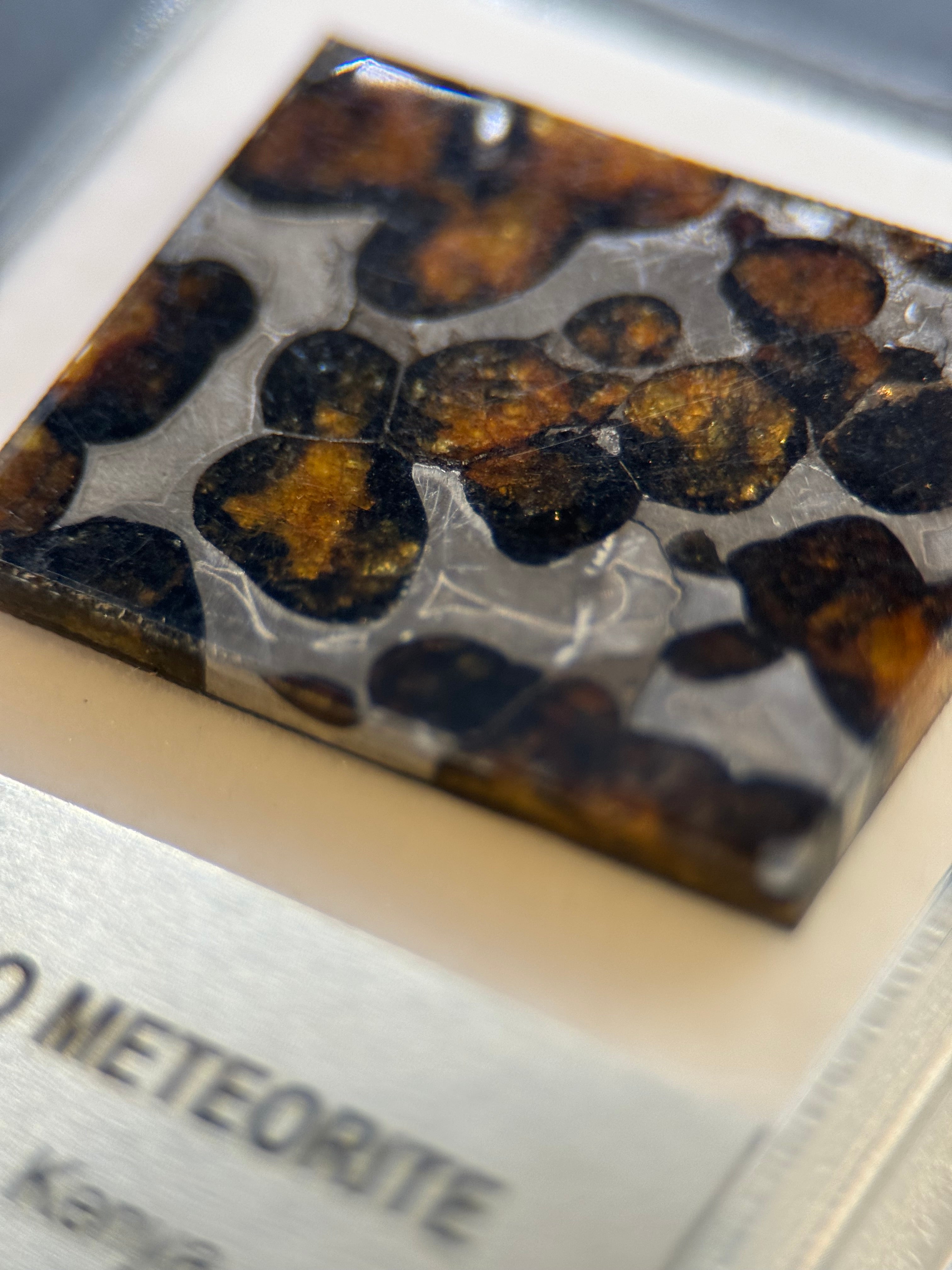 SERICHO METEORITE, KENYA. DISPLAY BOX. 4,4 GRAMS.