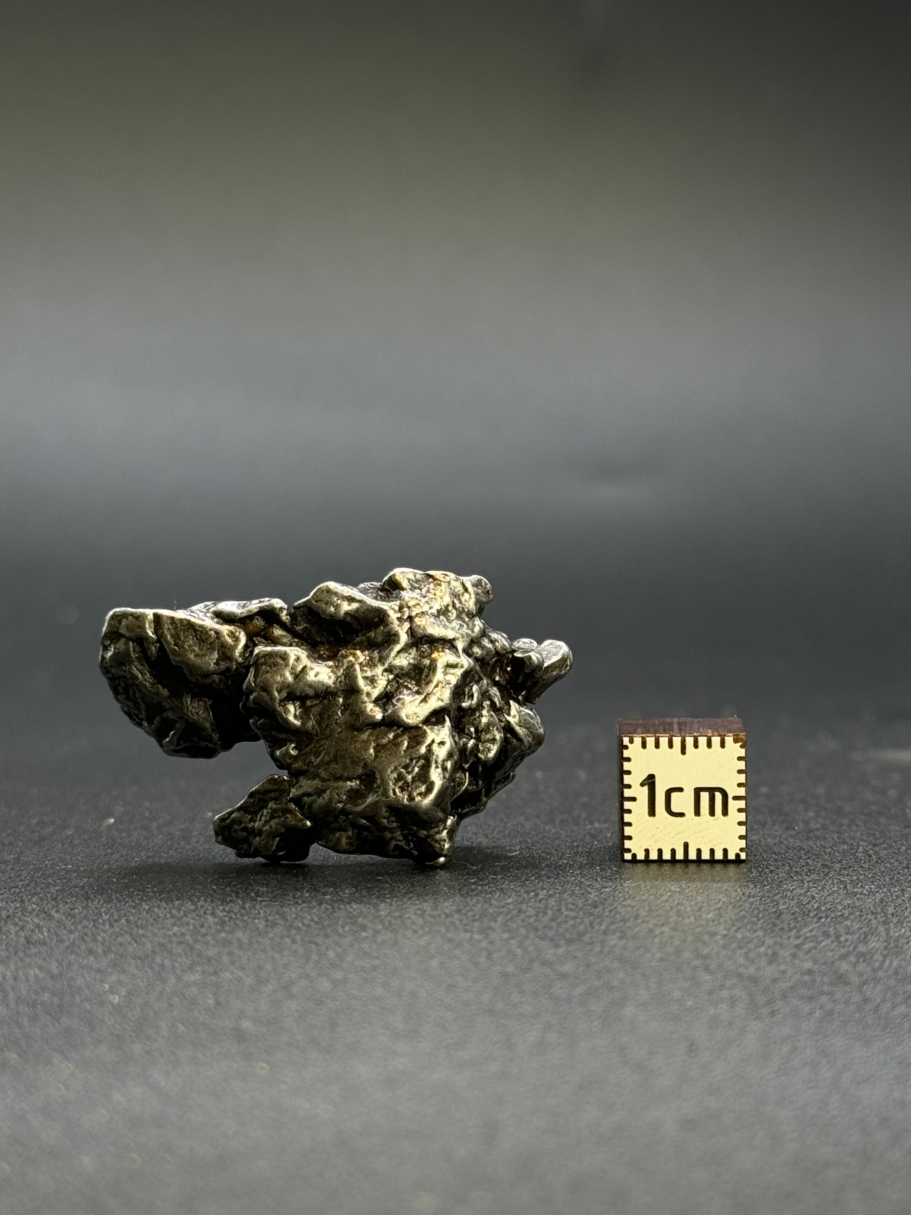 CAMPO DEL CIELO METEORITE, SOUTH AMERICA. 25,02 GRAMS.