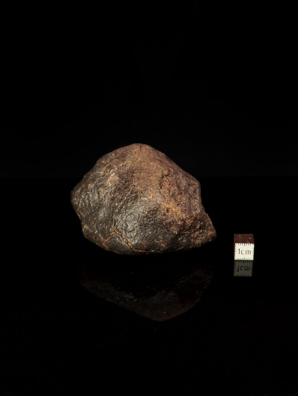 CHONDRITE METEORITE, NORTH WEST AFRICA. 352 GRAMS.