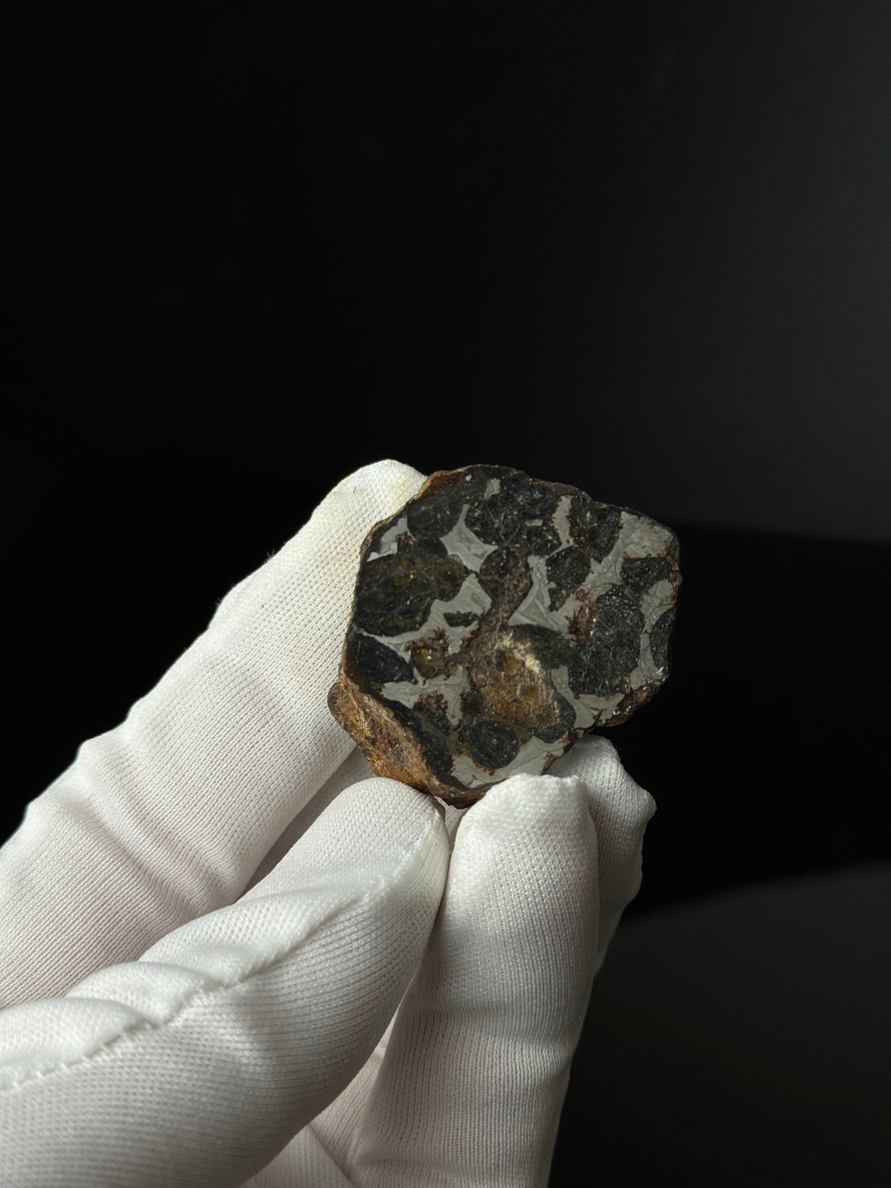 FULL SERICHO METEORITE FROM KENYA, IN TWO HALVES. TOTAL WEIGHT: 99,10 GRAMS.
