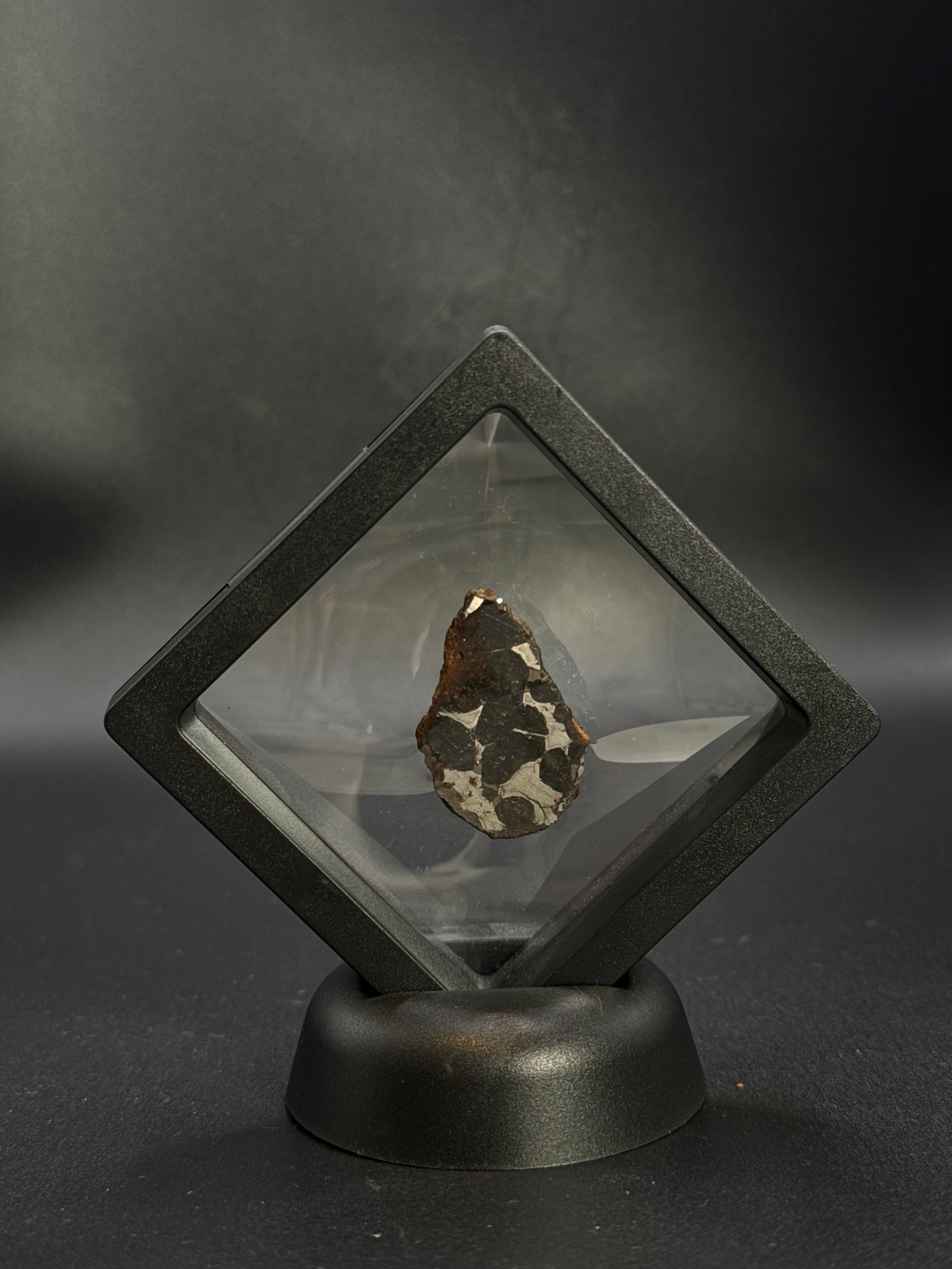 SERICHO PALLASITE METEORITE, KENYA. 12,47 GRAMS END-CUT.