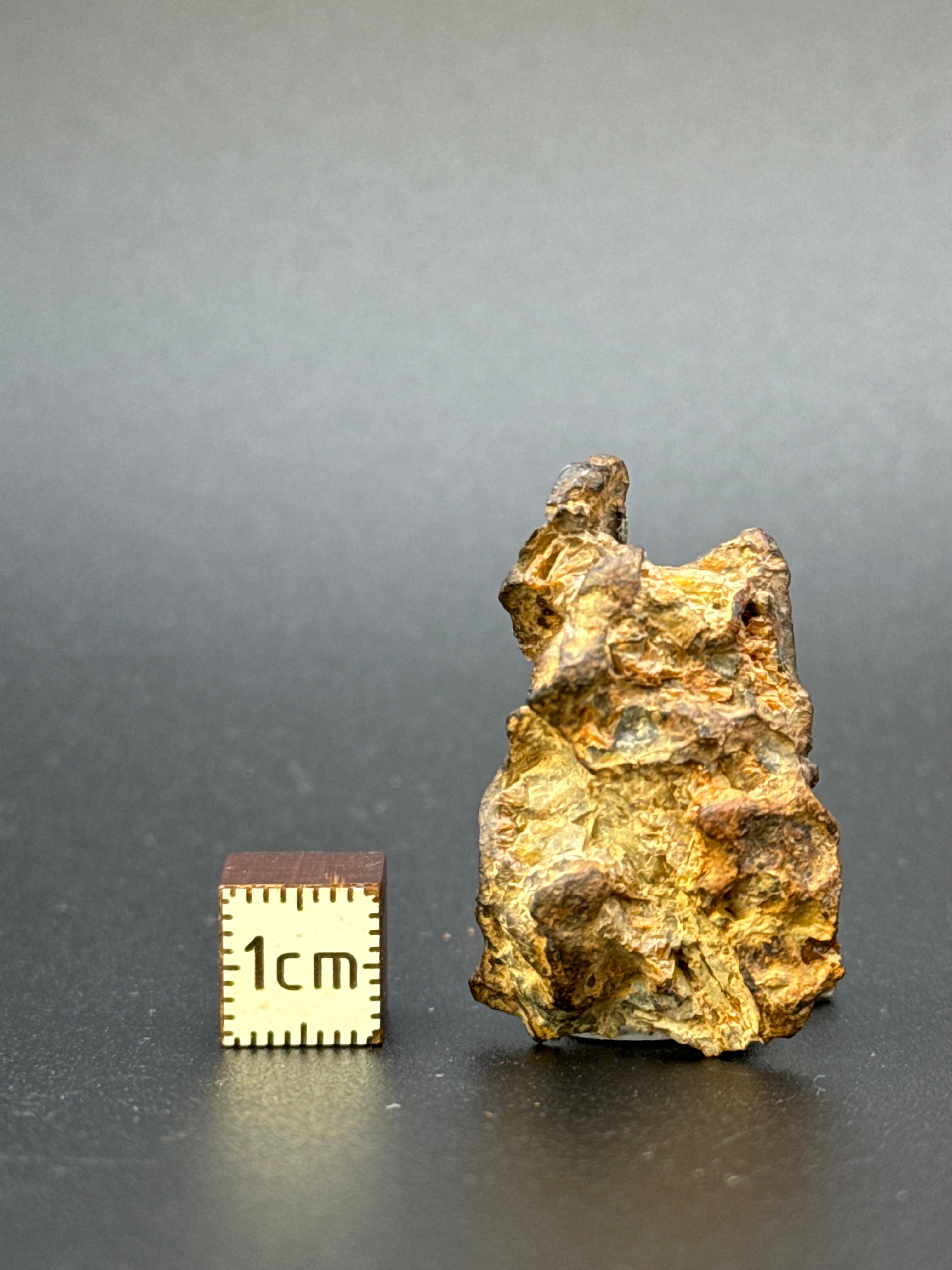 IMILAC PALLASITE METEORITE, END CUT, CHILE. 13,5 GRAMS.