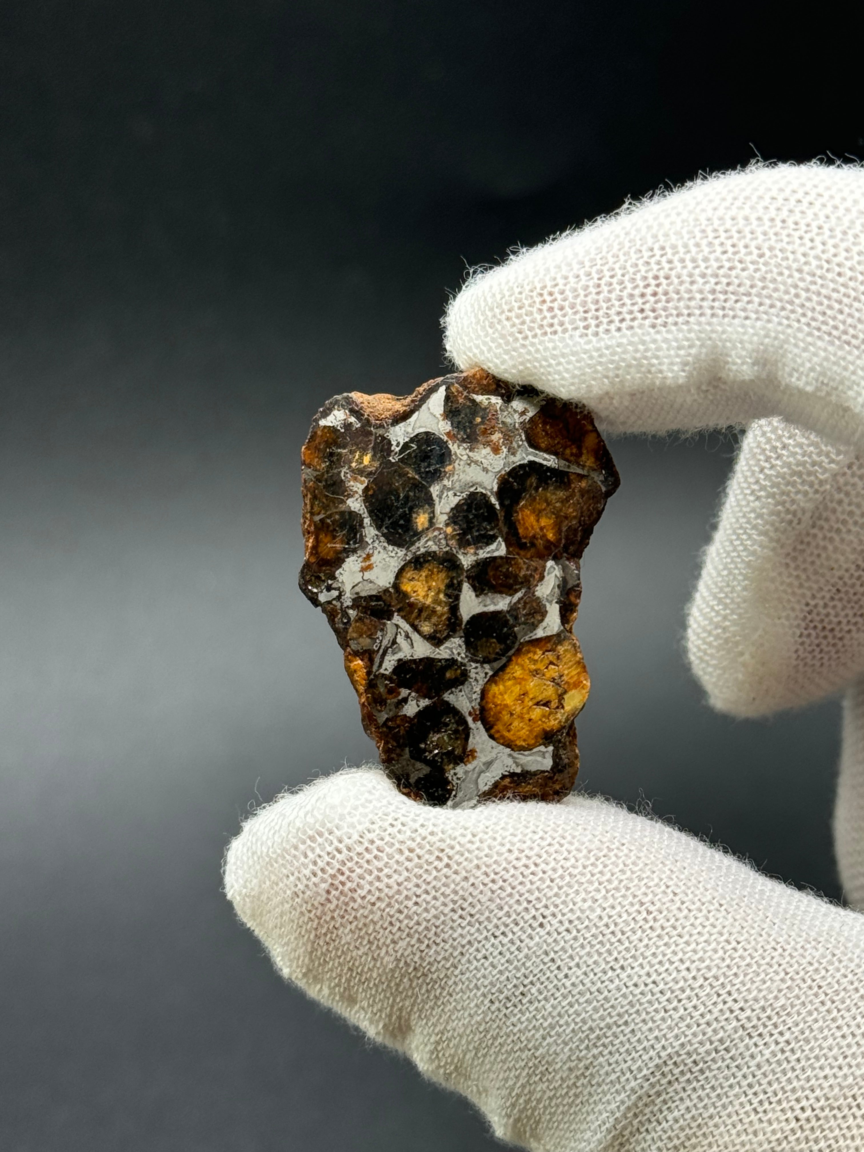 SERICHO PALLASITE METEORITE, KENYA. 15,93 GRAMS END-CUT.