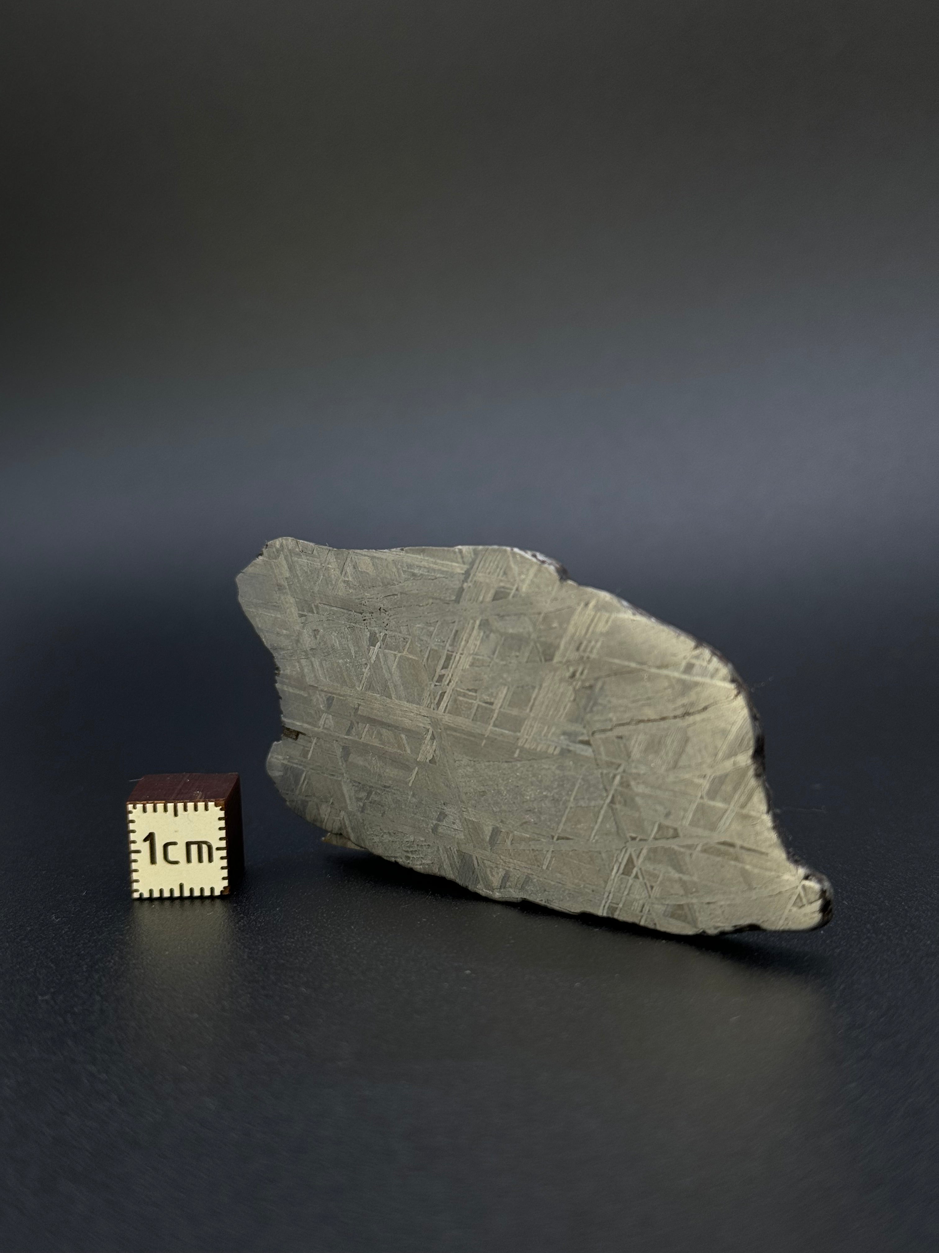 MUONIONALUSTA METEORITE, SWEDEN. 49,18 GRAMS.