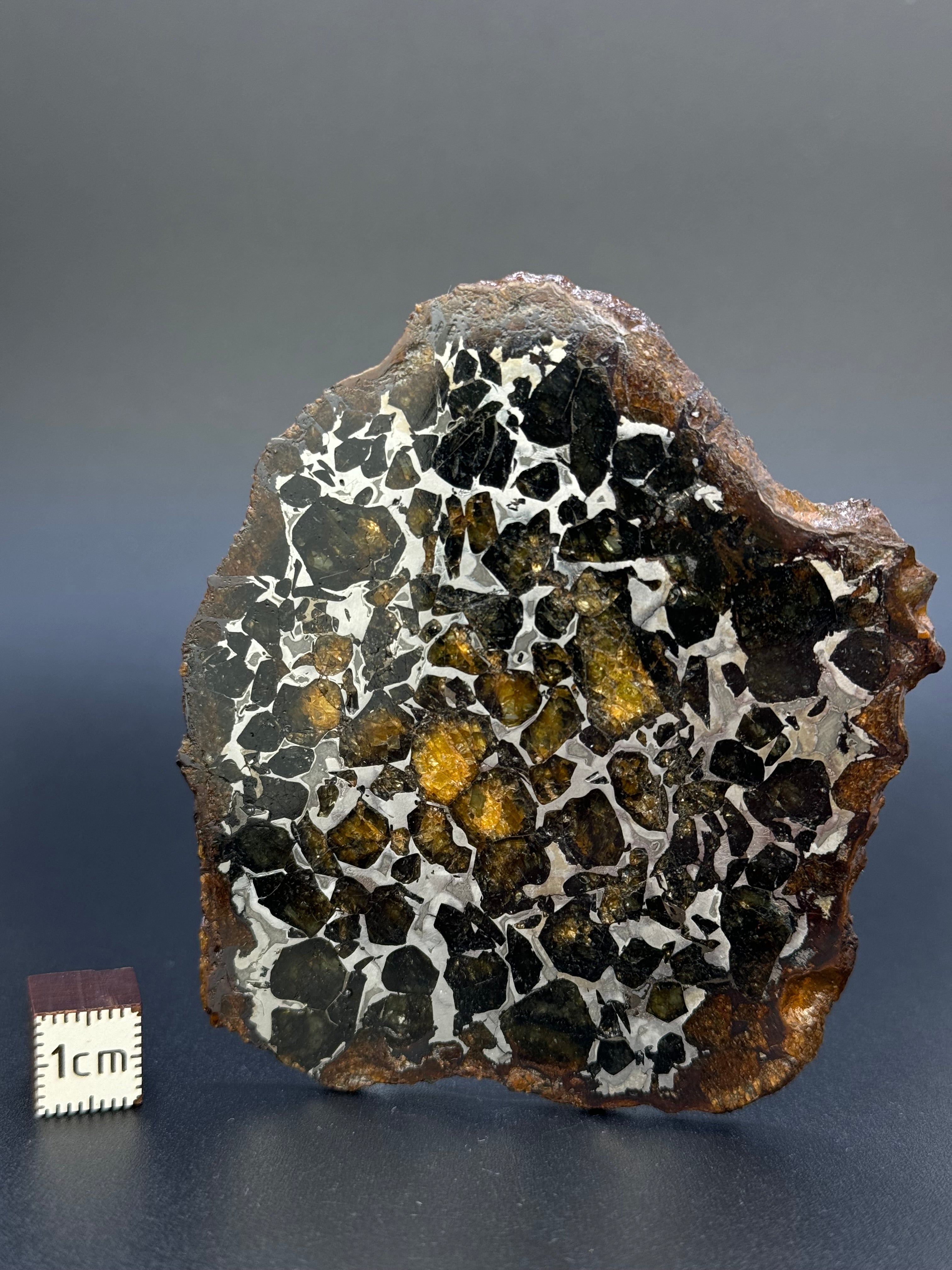 SEYMCHAN METEORITE, MAGADAN REGION, RUSSIA. 36,6 GRAMS SLICE.