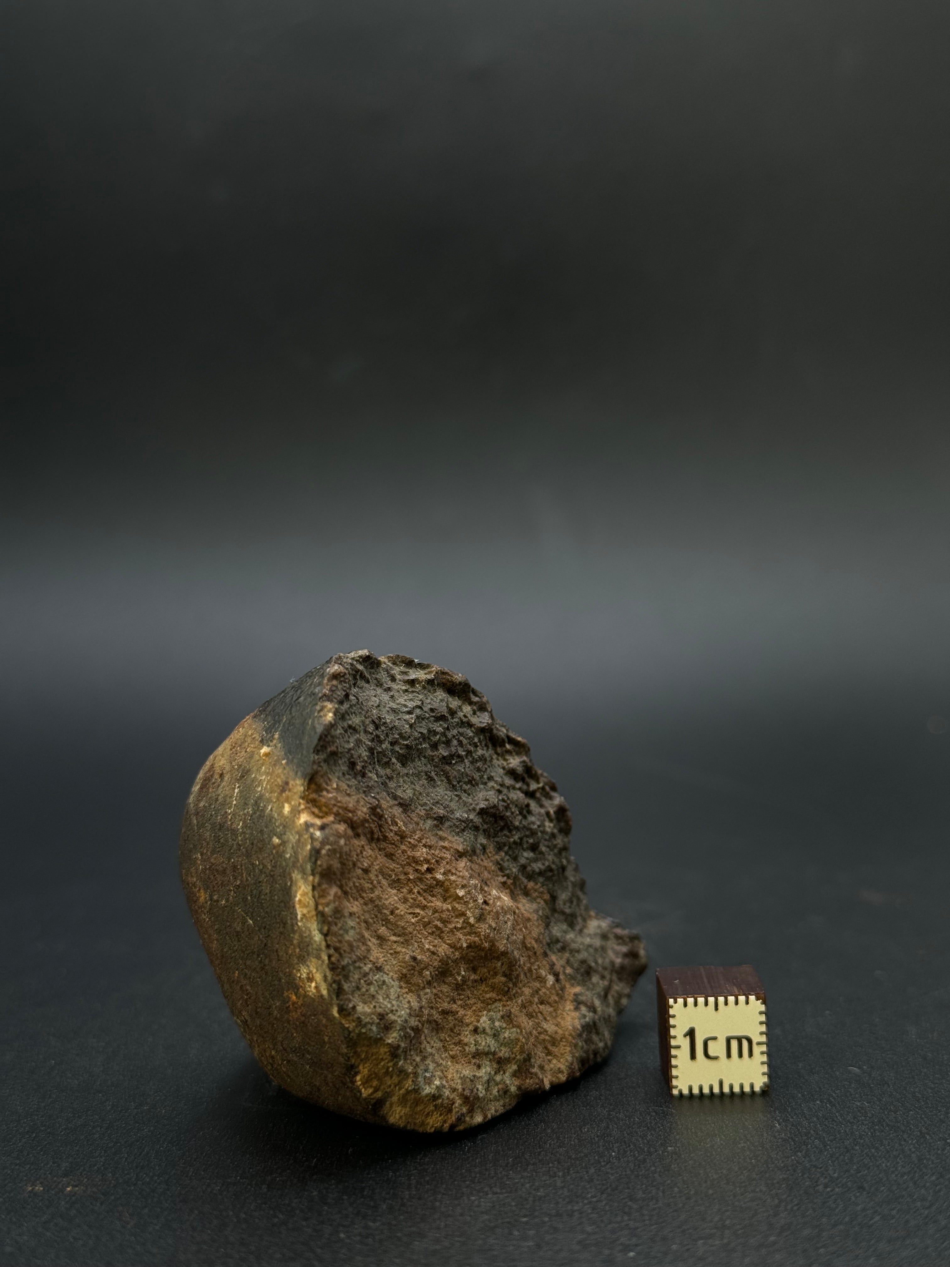 CHONDRITE METEORITE, NORTH WEST AFRICA. 124,13 GRAMS.