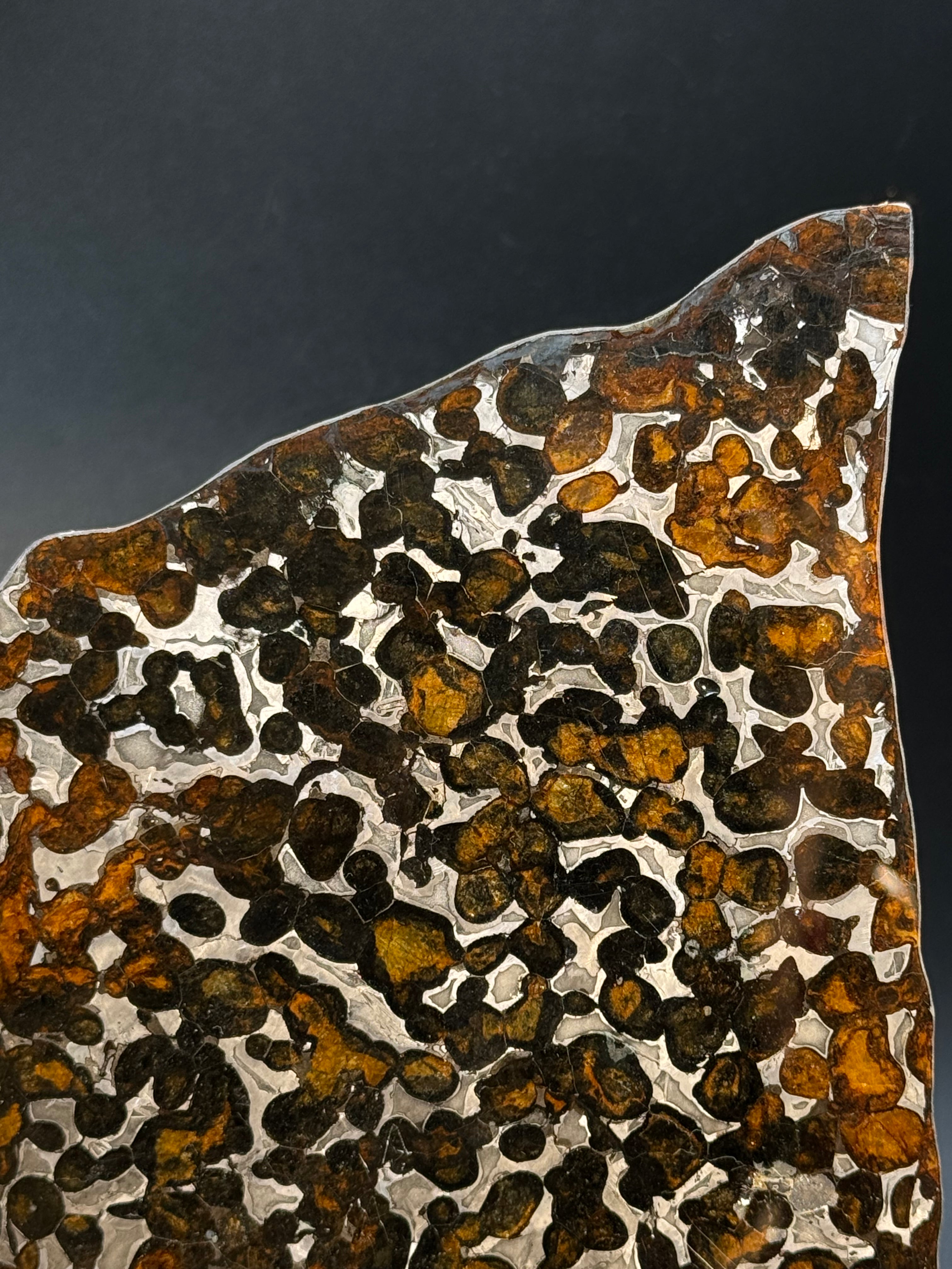 SERICHO METEORITE, KENYA. 97 GRAMS SLICE
