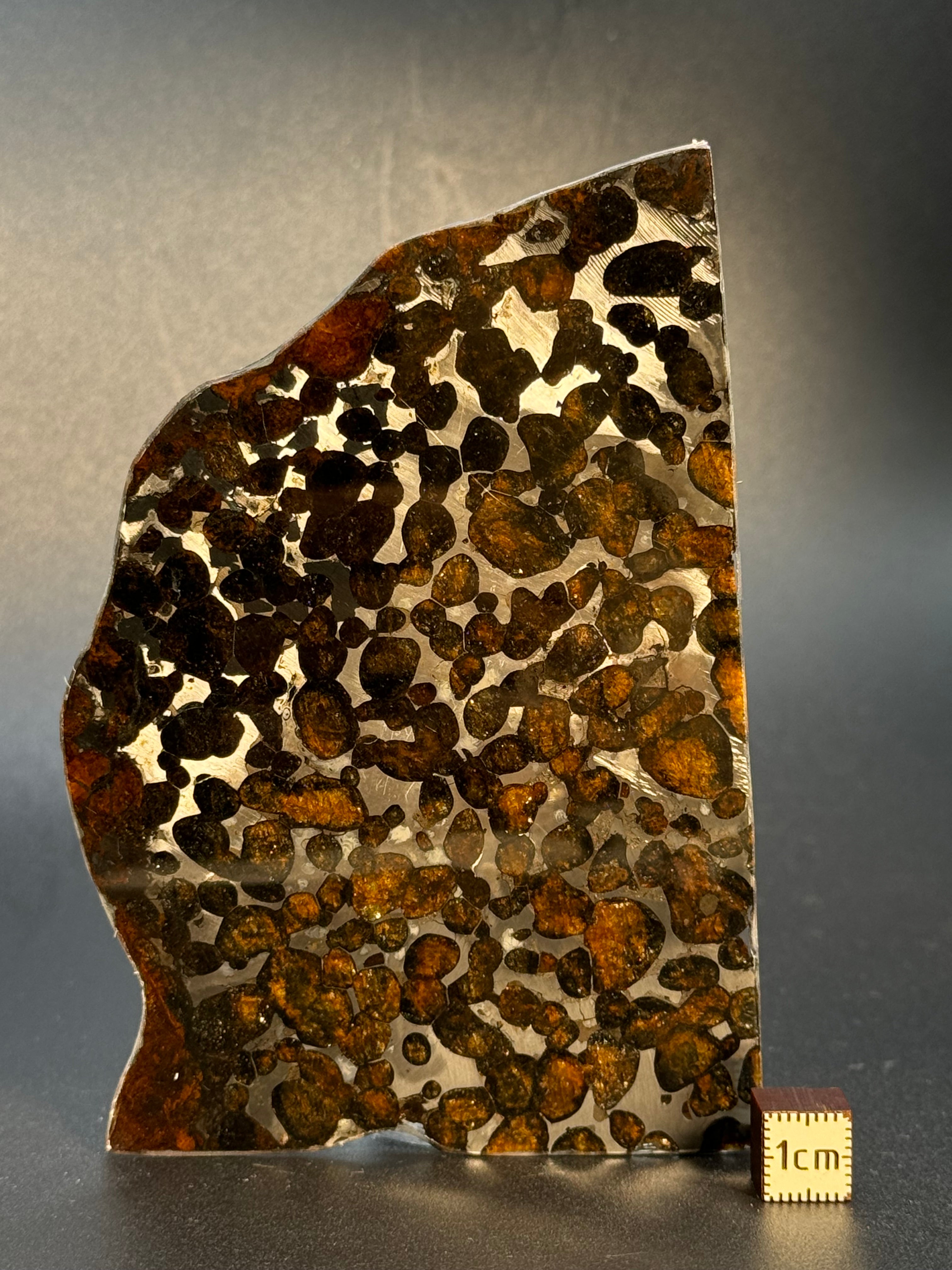 SERICHO METEORITE, KENYA. 49 GRAMS SLICE