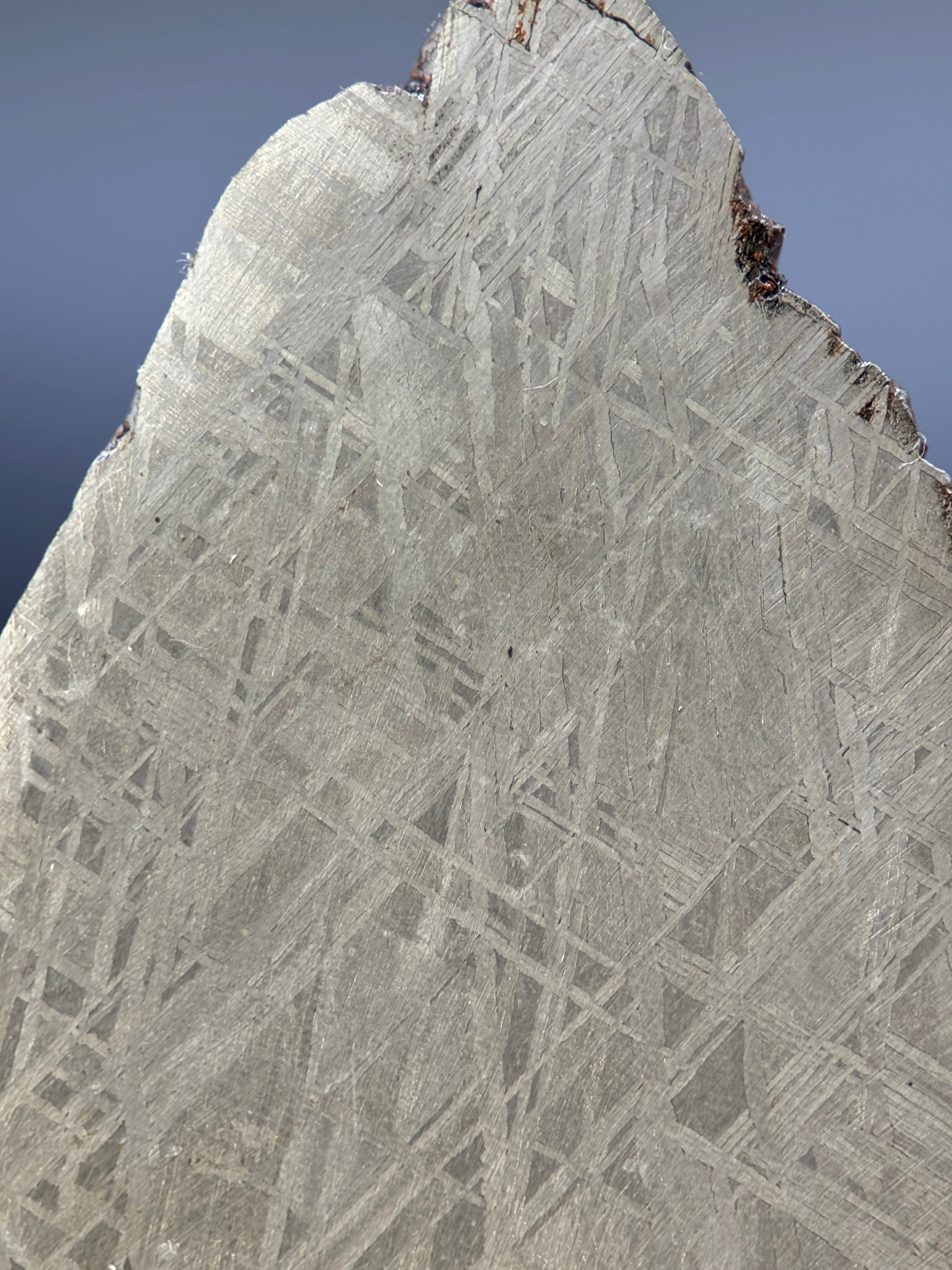 MUONIONALUSTA METEORITE, SWEDEN. 35,88 GRAMS.