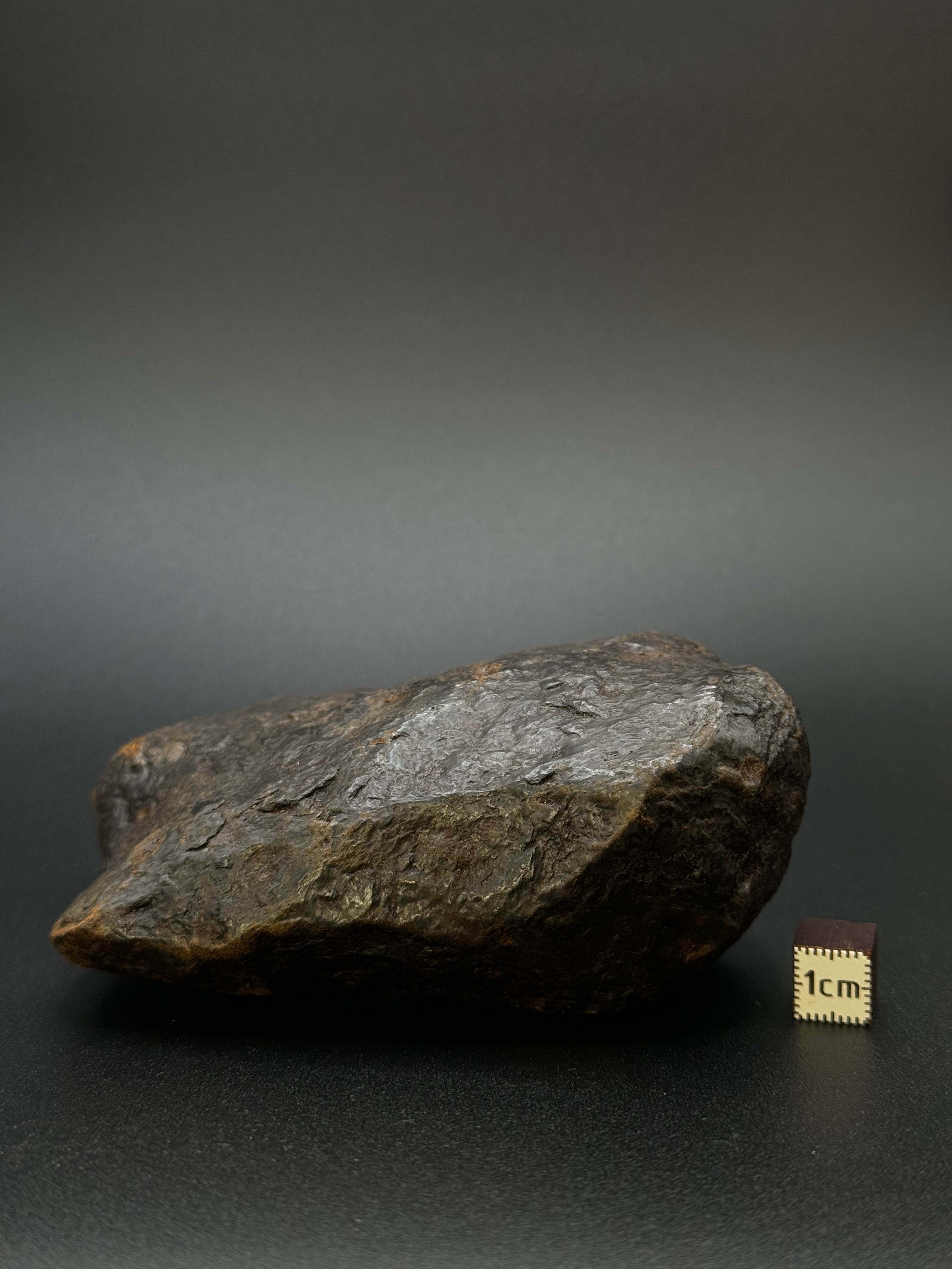 MUONIONALUSTA METEORITE, SWEDEN. FULL METEORITE 1104 GRAMS.