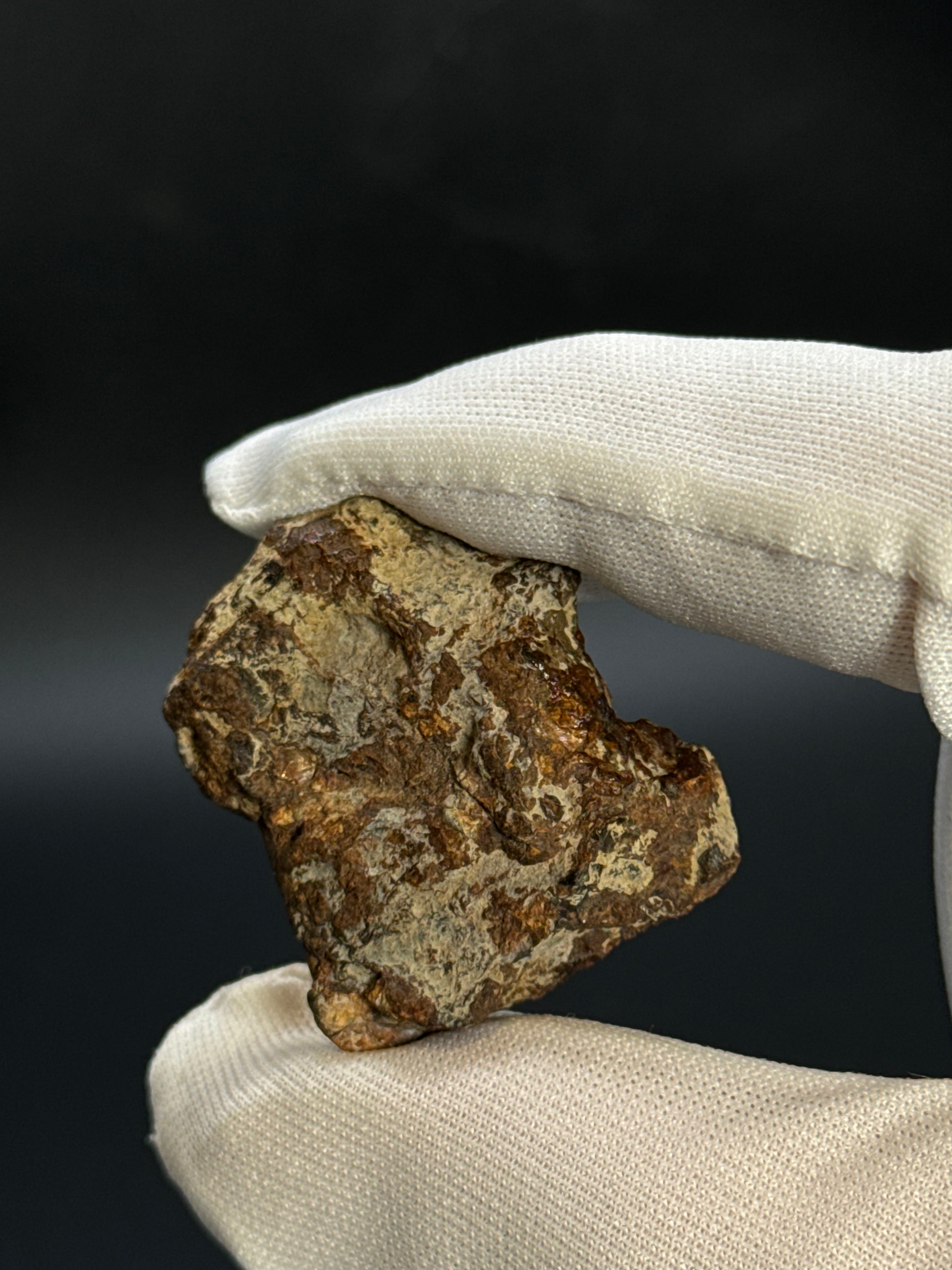 SERICHO PALLASITE METEORITE, KENYA. 15,28 GRAMS END-CUT