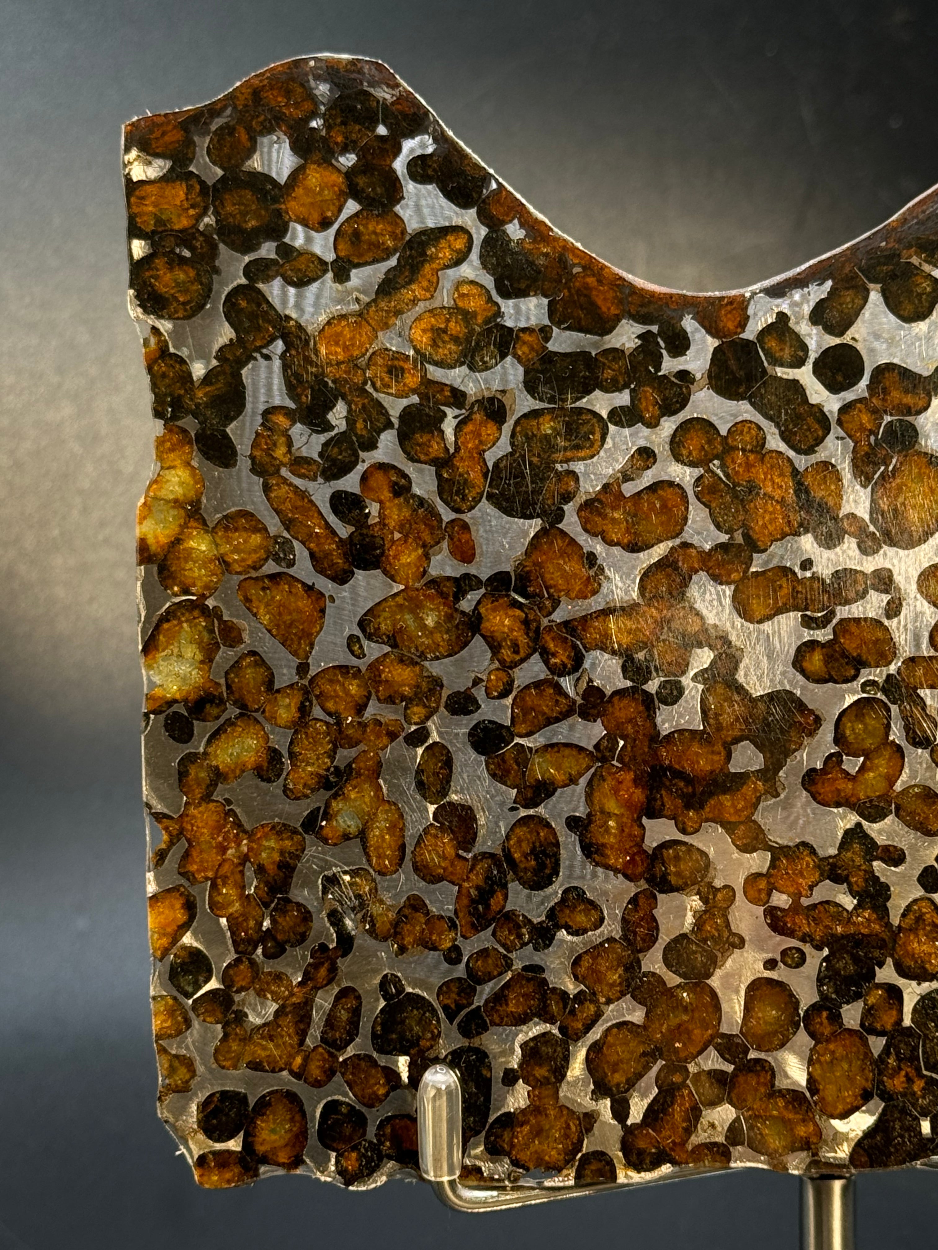 SERICHO METEORITE, KENYA. 81 GRAMS SLICE