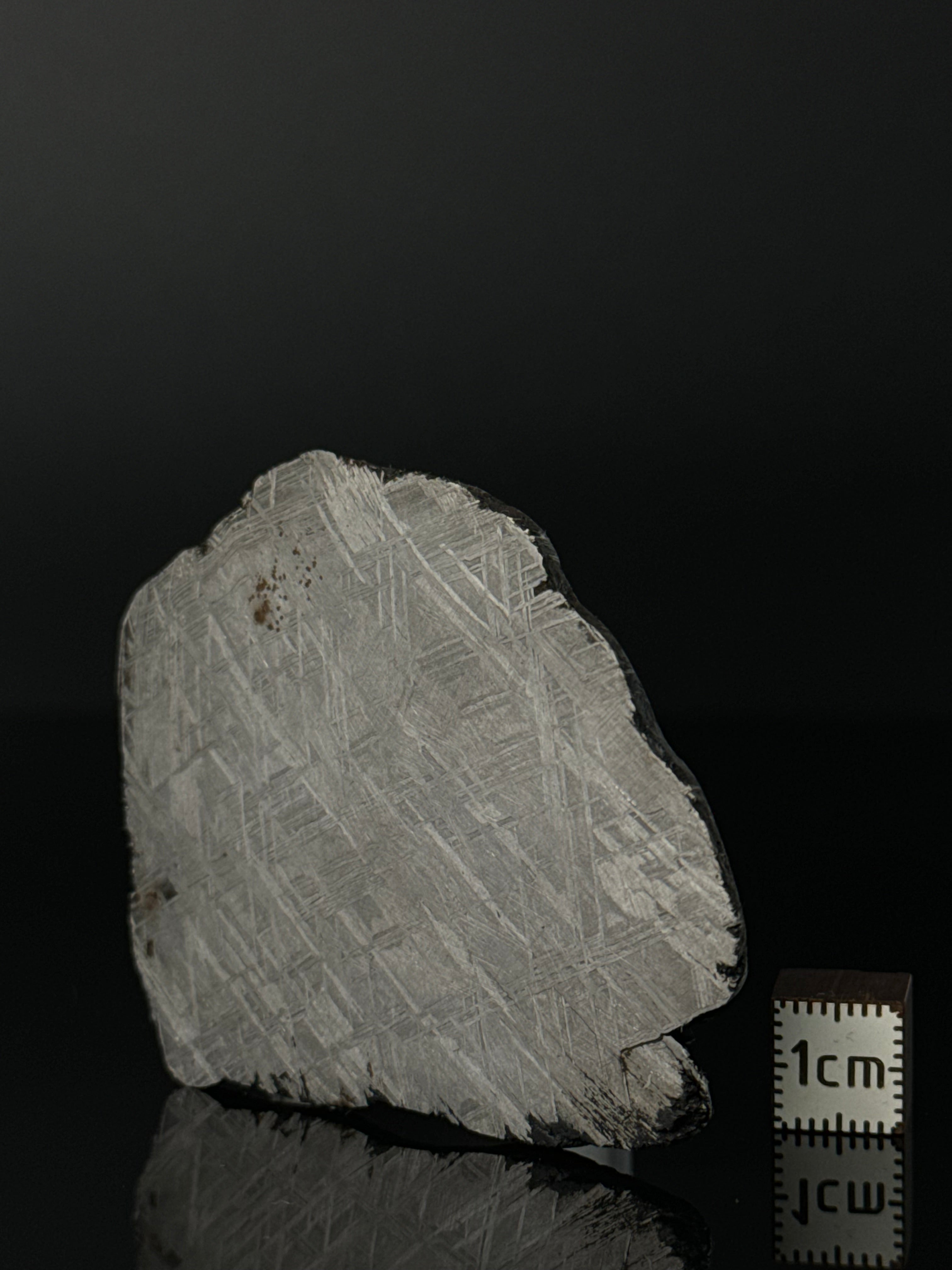 MUONIONALUSTA METEORITE, SWEDEN 66,46 GRAMS.