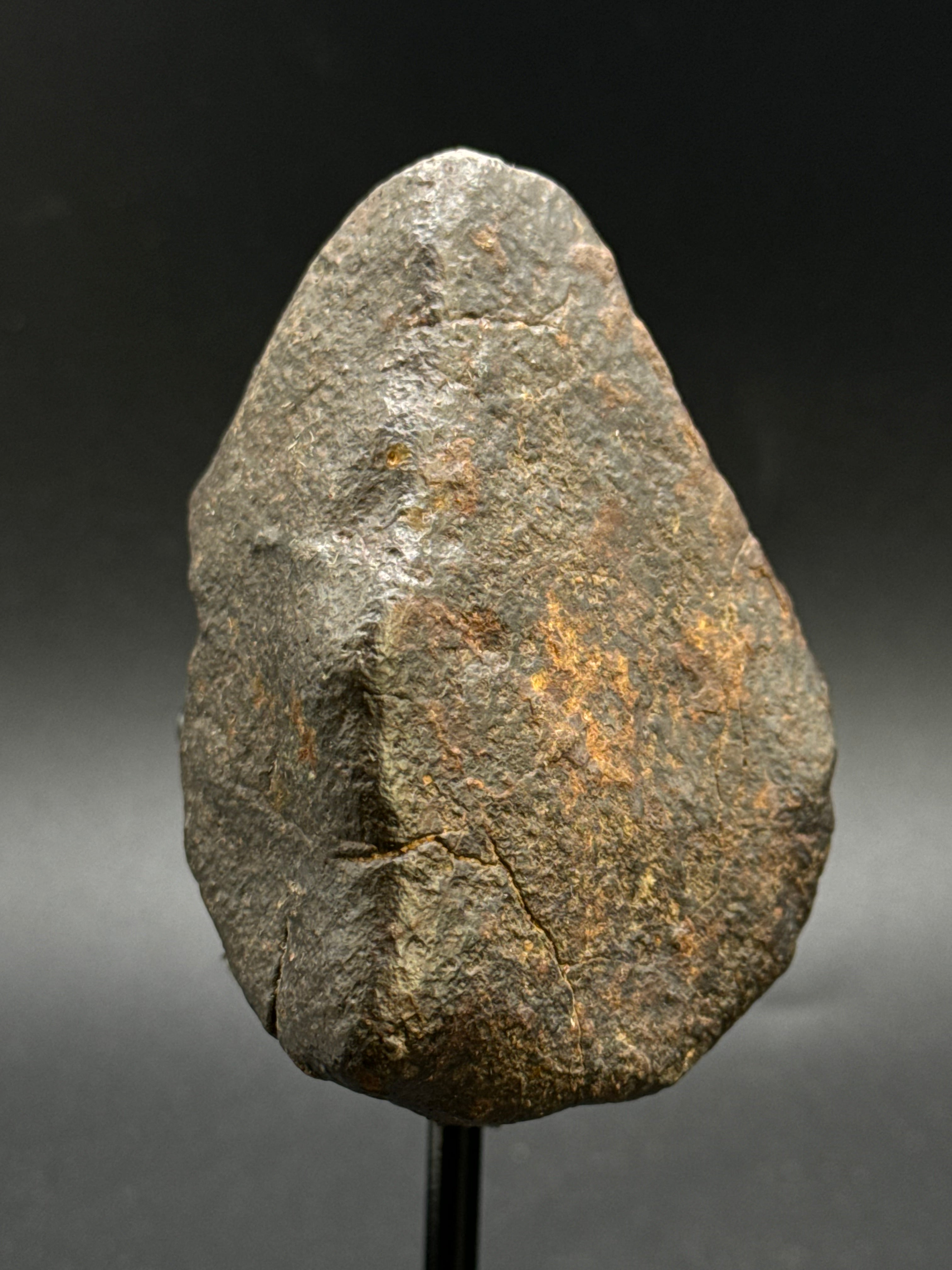 CHONDRITE METEORITE, NORTH WEST AFRICA. 310 GRAMS.