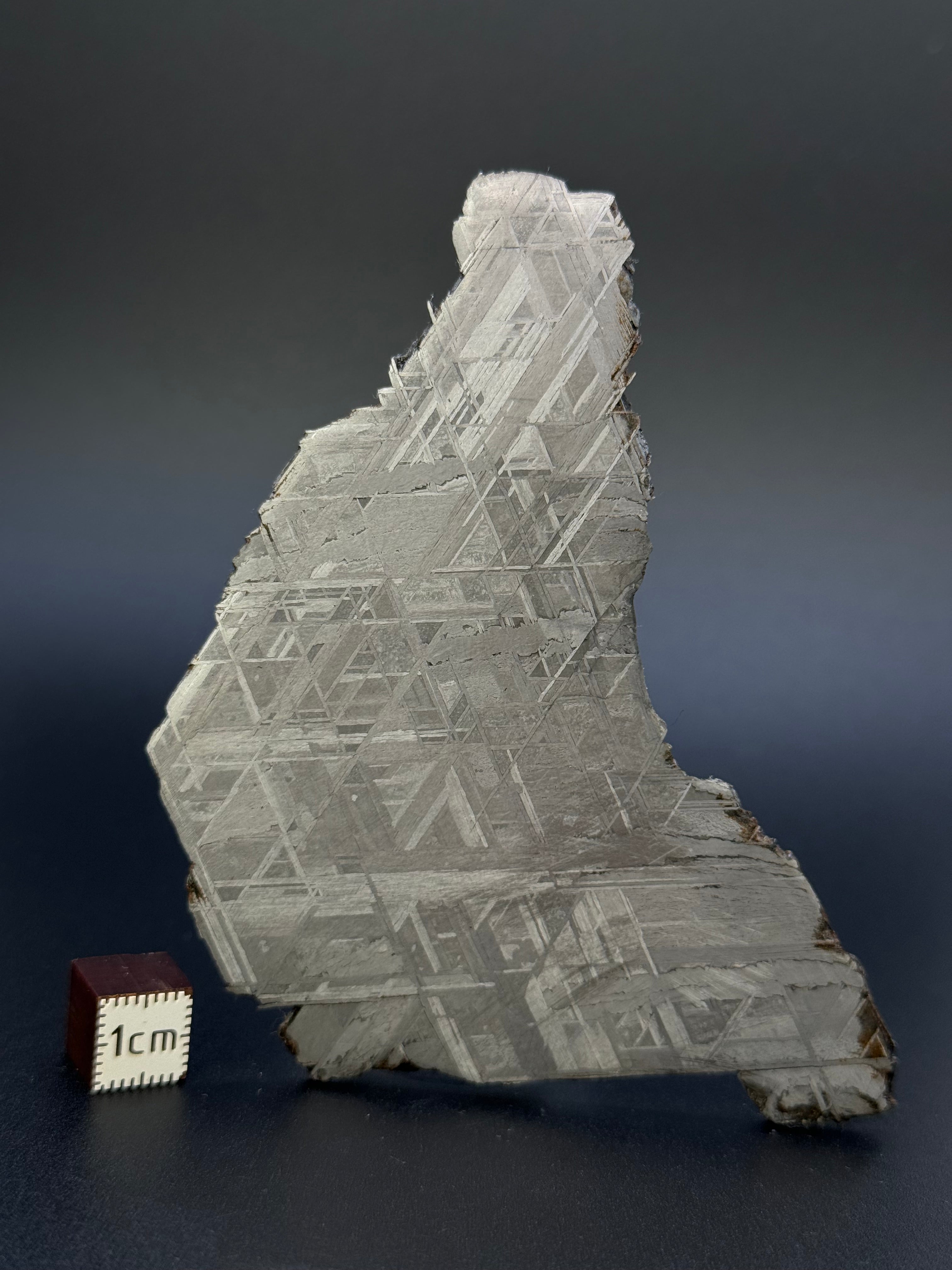 MUONIONALUSTA METEORITE, SWEDEN. 75,91 GRAMS.