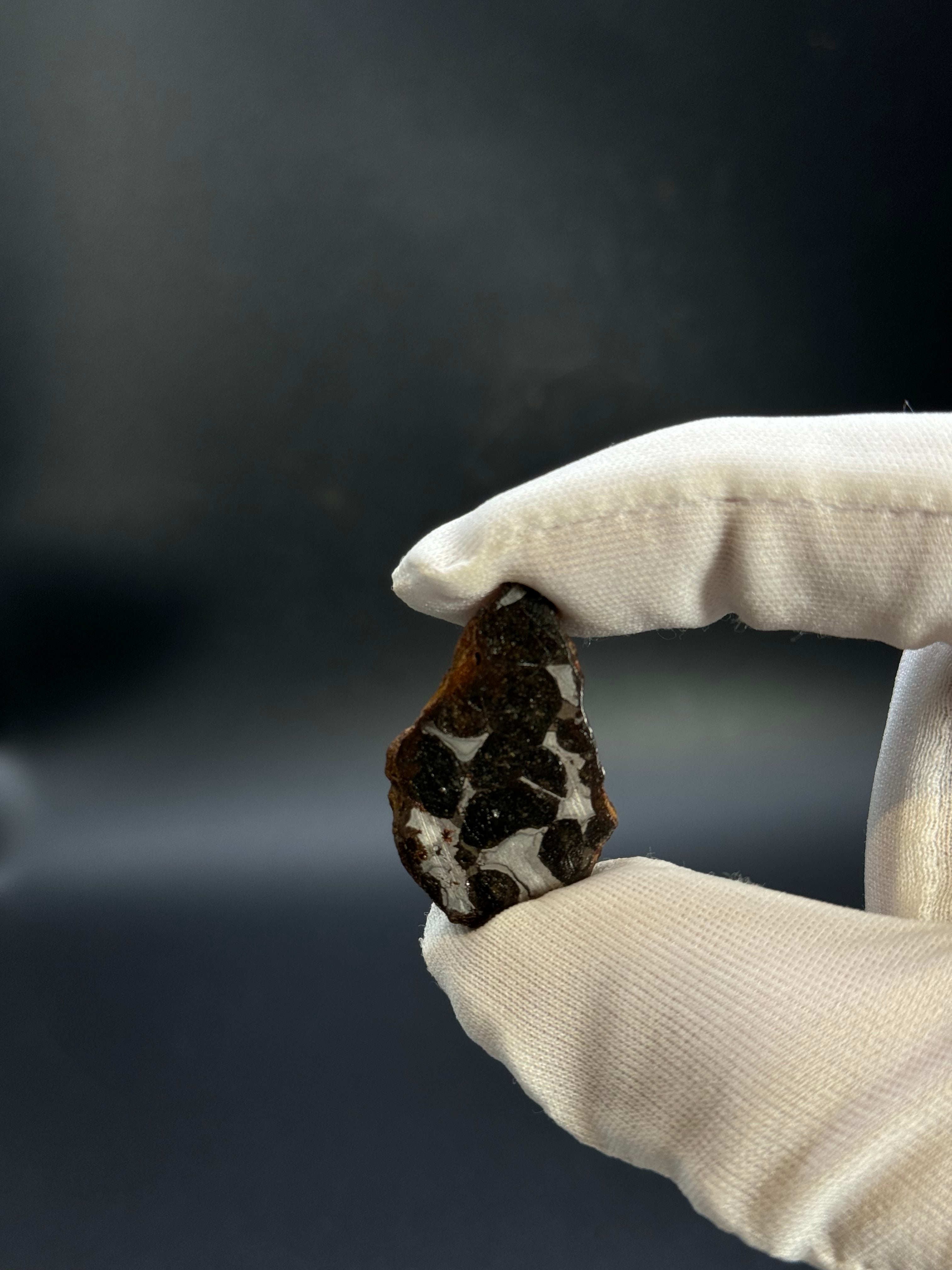 SERICHO PALLASITE METEORITE, KENYA. 12,47 GRAMS END-CUT.
