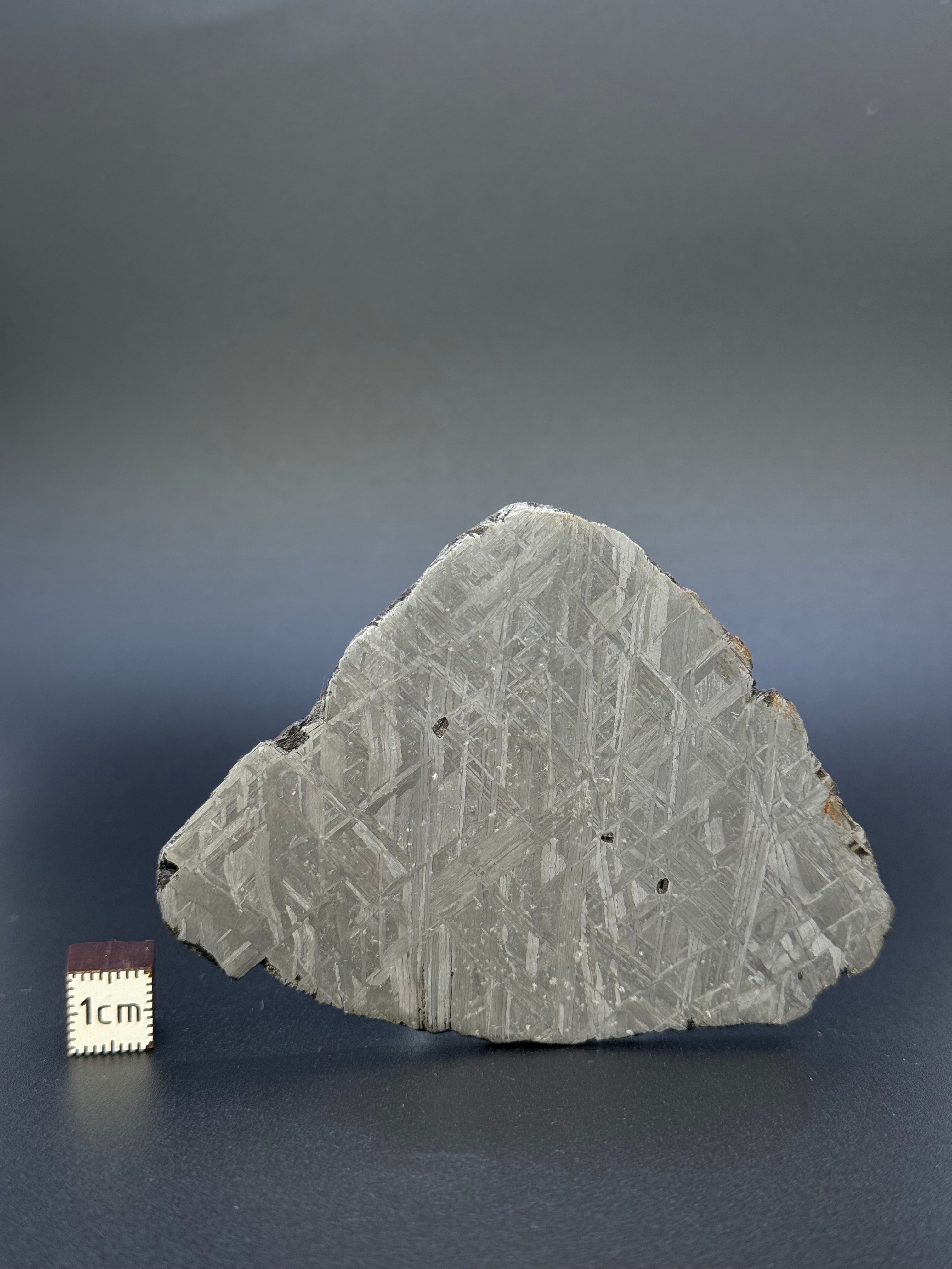 MUONIONALUSTA METEORITE, SWEDEN. 88,32 GRAMS SLICE.