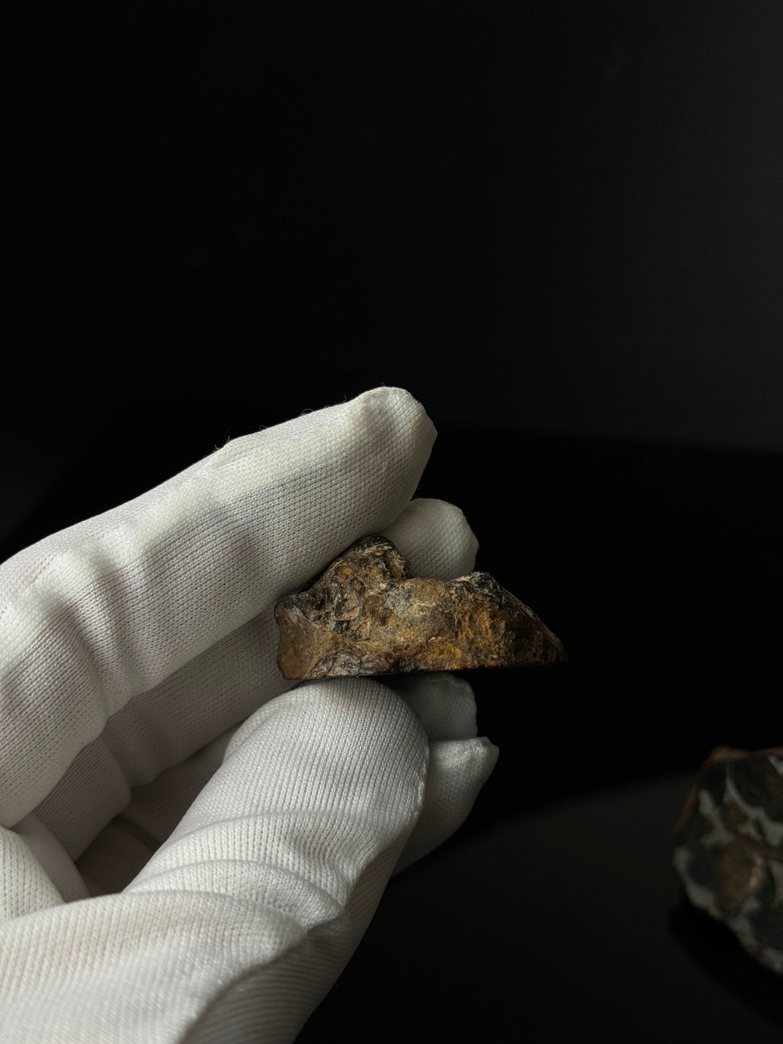 FULL SERICHO METEORITE FROM KENYA, IN TWO HALVES. TOTAL WEIGHT: 99,10 GRAMS.