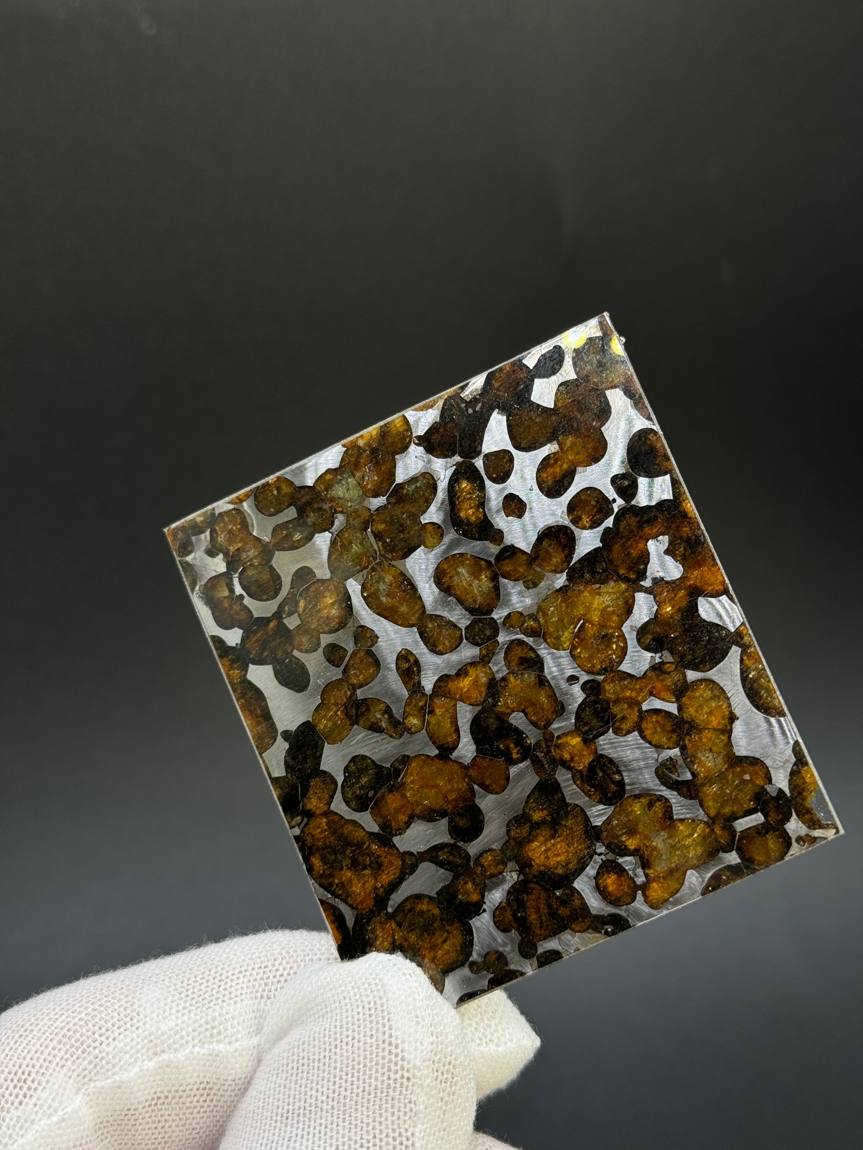 SERICHO METEORITE, KENYA. 24,10 GRAMS SLICE