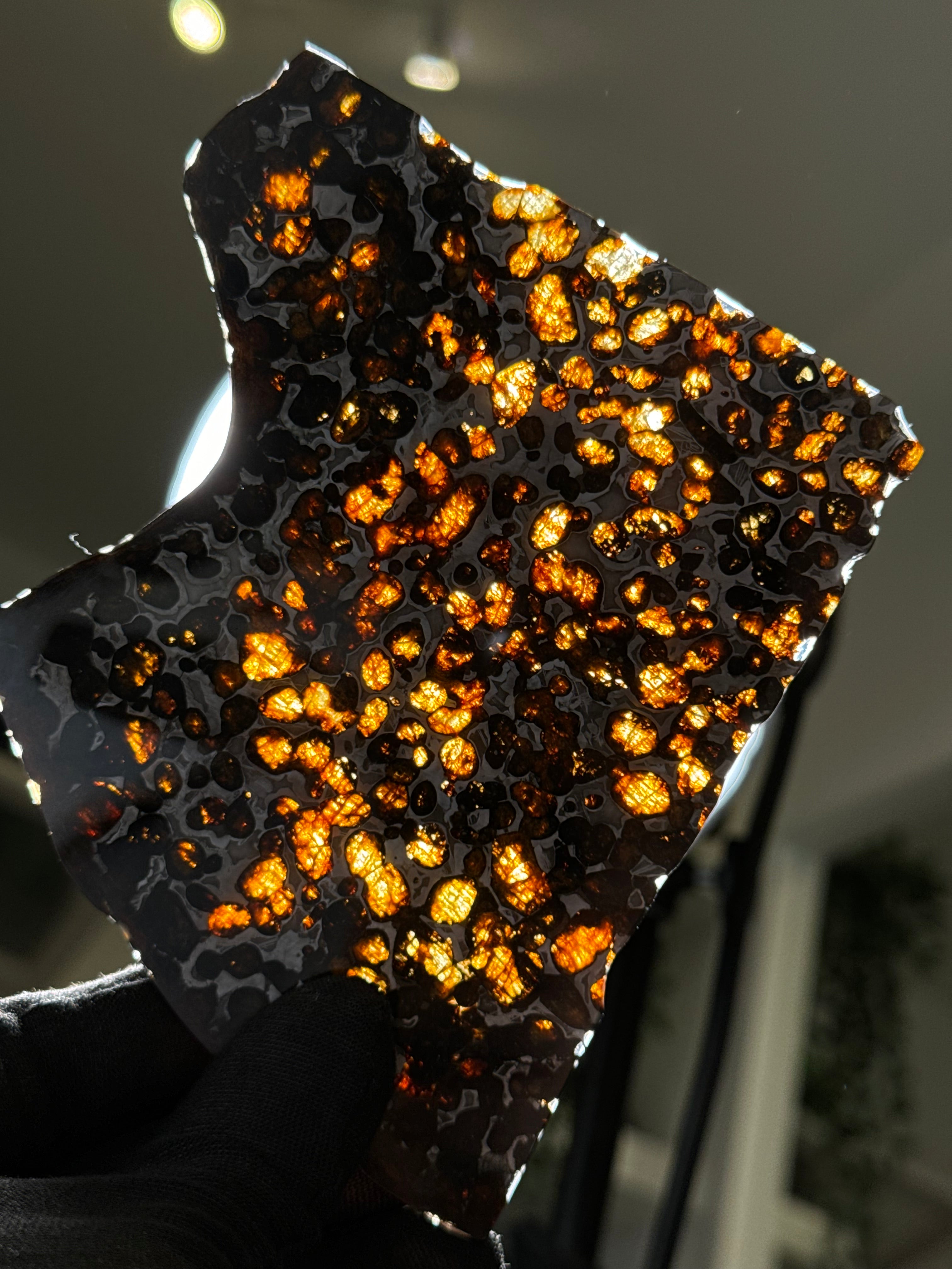 SERICHO METEORITE, KENYA. 81 GRAMS SLICE