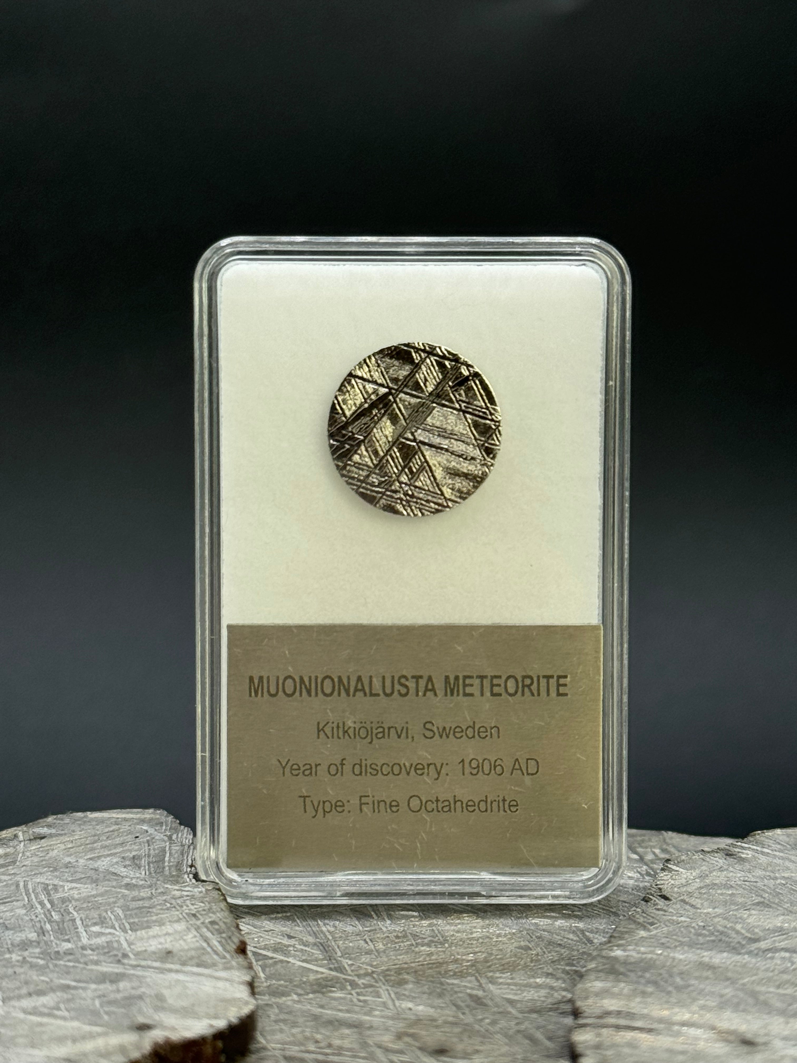Muonionalusta meteorite, Sweden. Display box. 15mm diameter plate.
