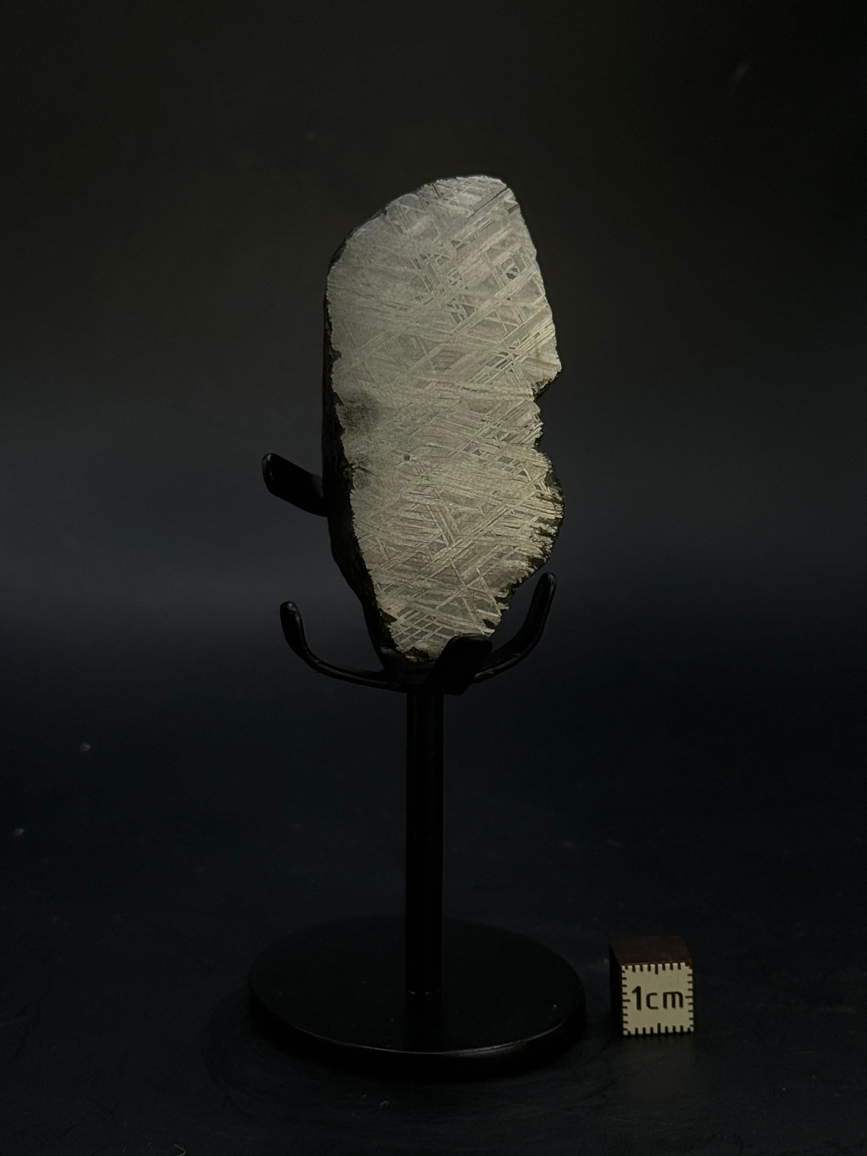 MUONIONALUSTA METEORITE, SWEDEN. 180 GRAMS END-CUT.