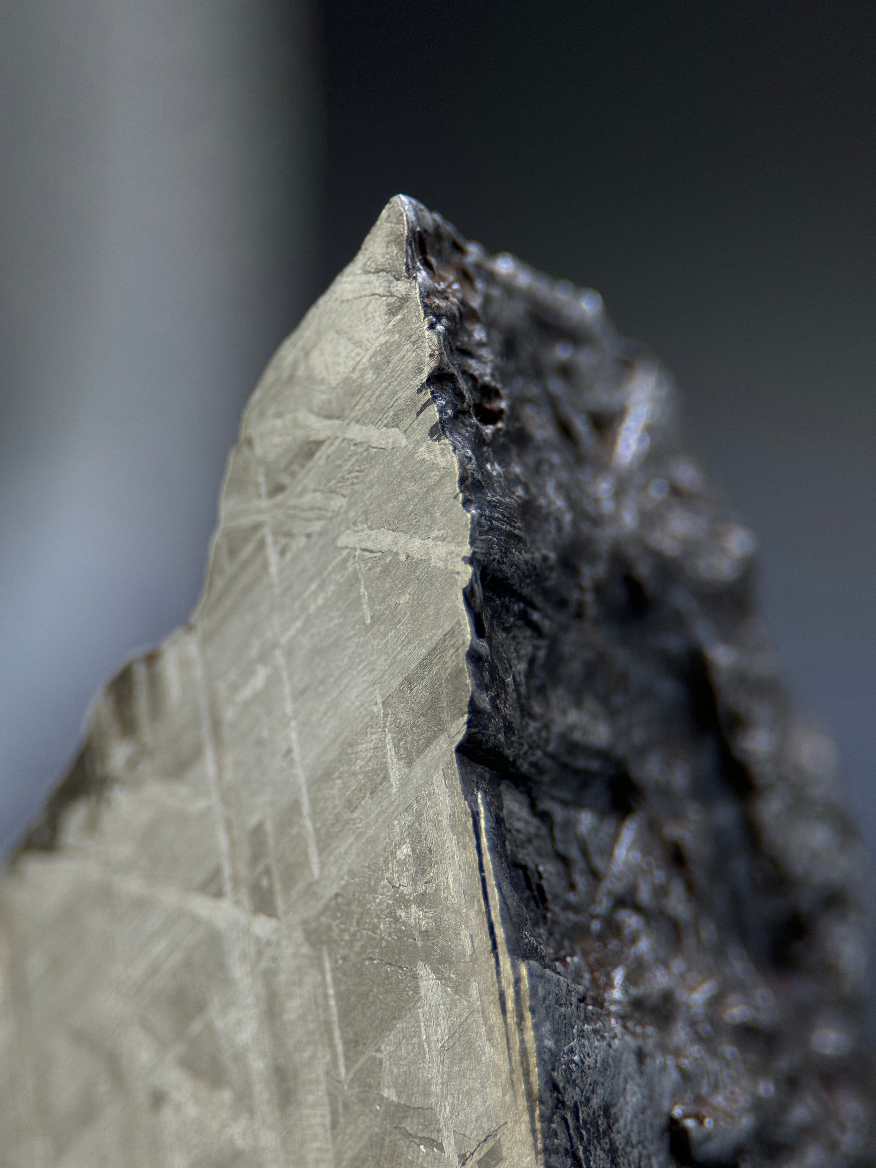 MUONIONALUSTA METEORITE, SWEDEN. 213 GRAMS END-CUT.