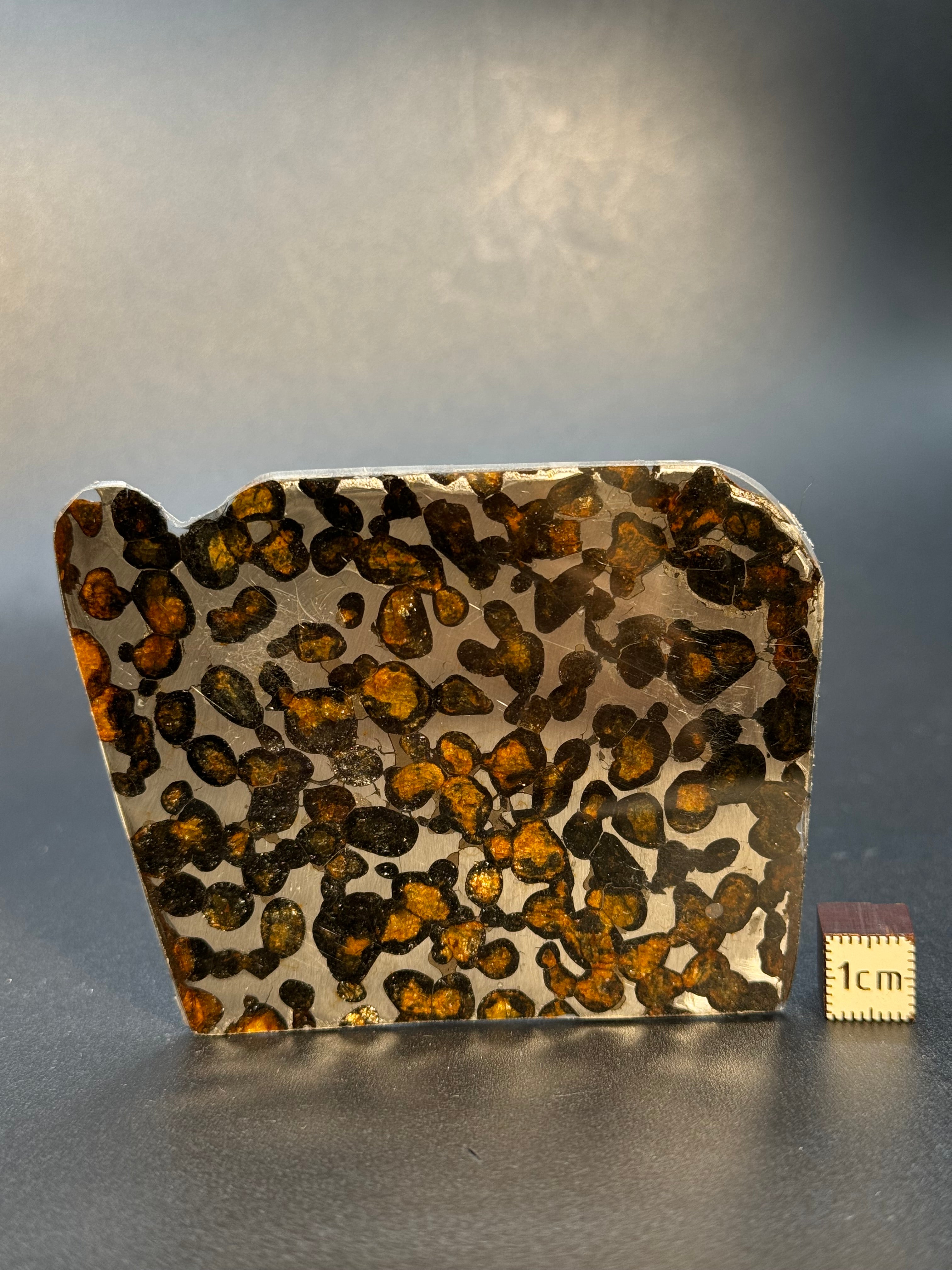 SERICHO METEORITE, KENYA. 32 GRAMS SLICE