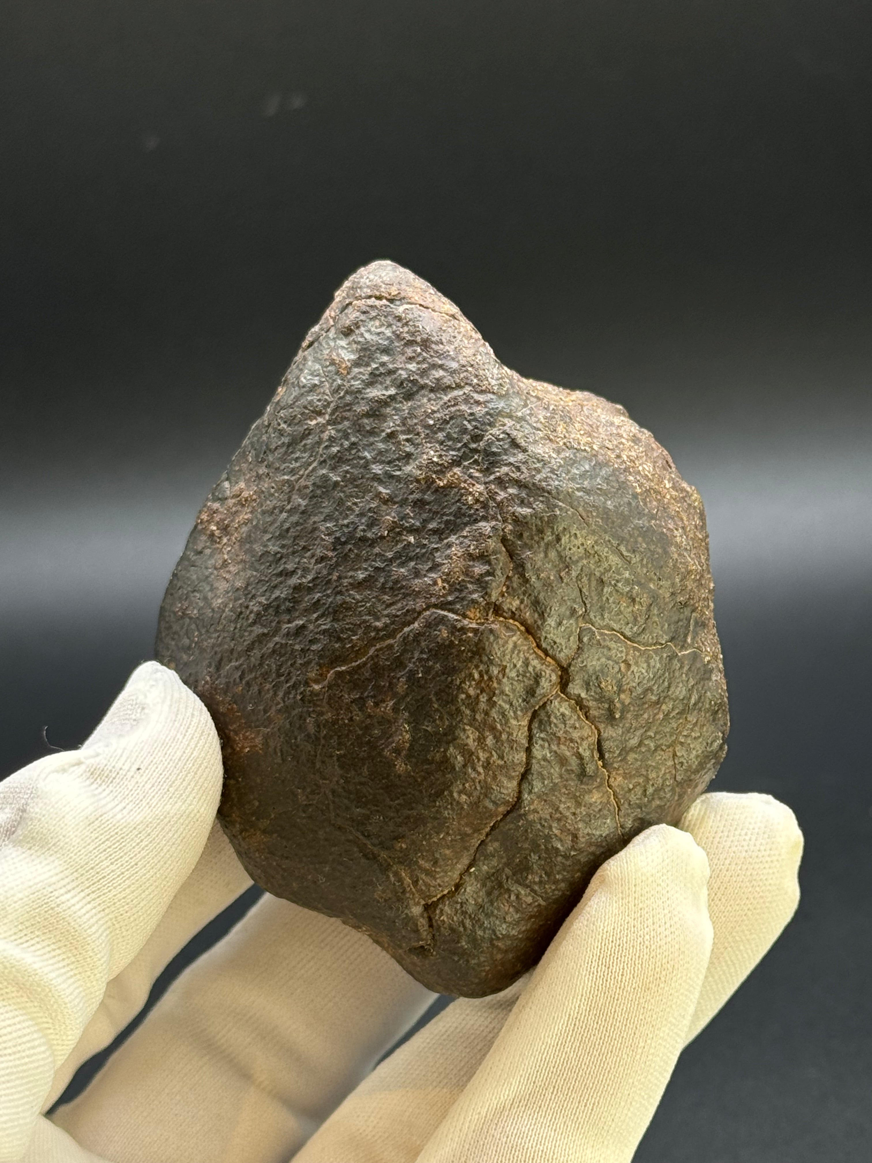 CHONDRITE METEORITE, NORTH WEST AFRICA. 352 GRAMS.