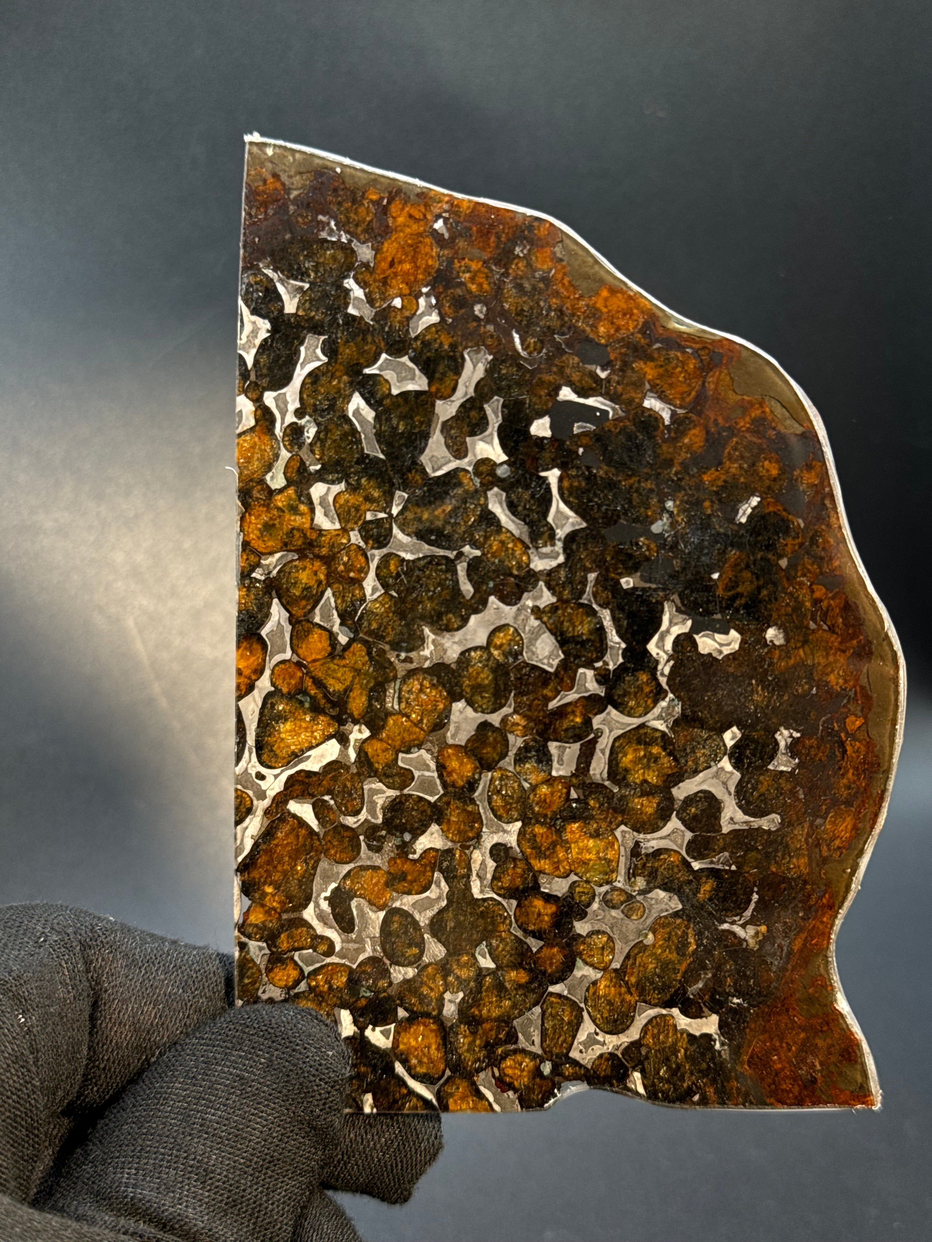 SERICHO METEORITE, KENYA. 49 GRAMS SLICE