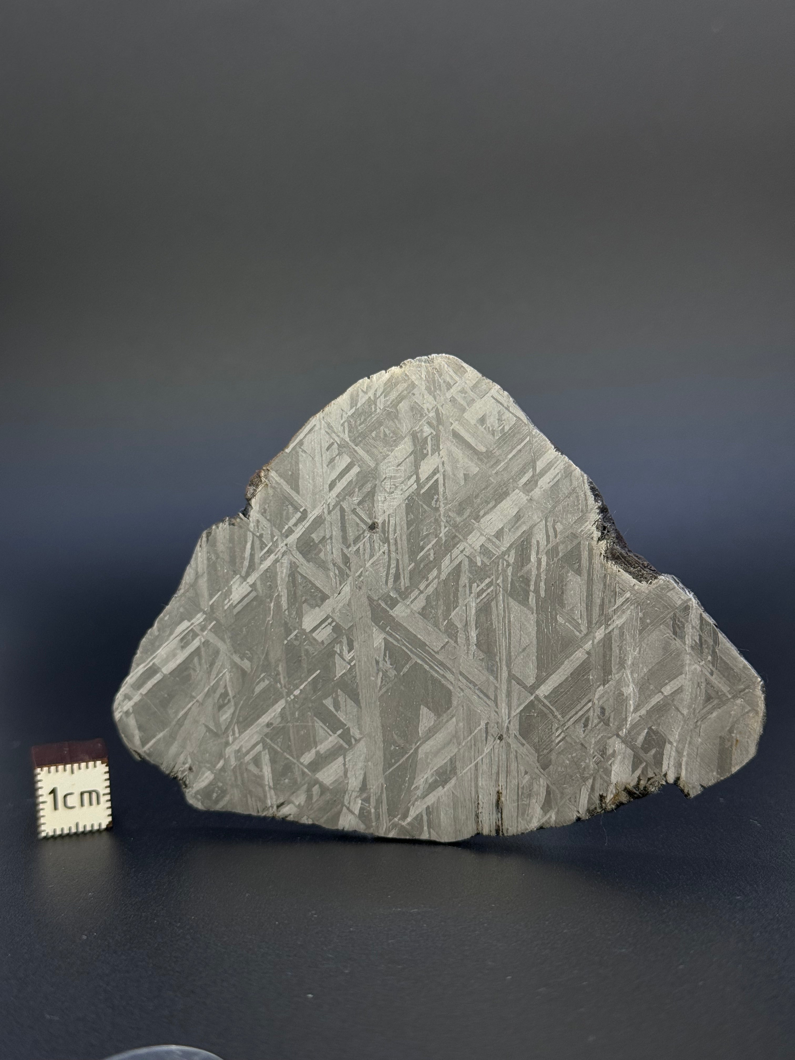 MUONIONALUSTA METEORITE, SWEDEN. 88,32 GRAMS SLICE.