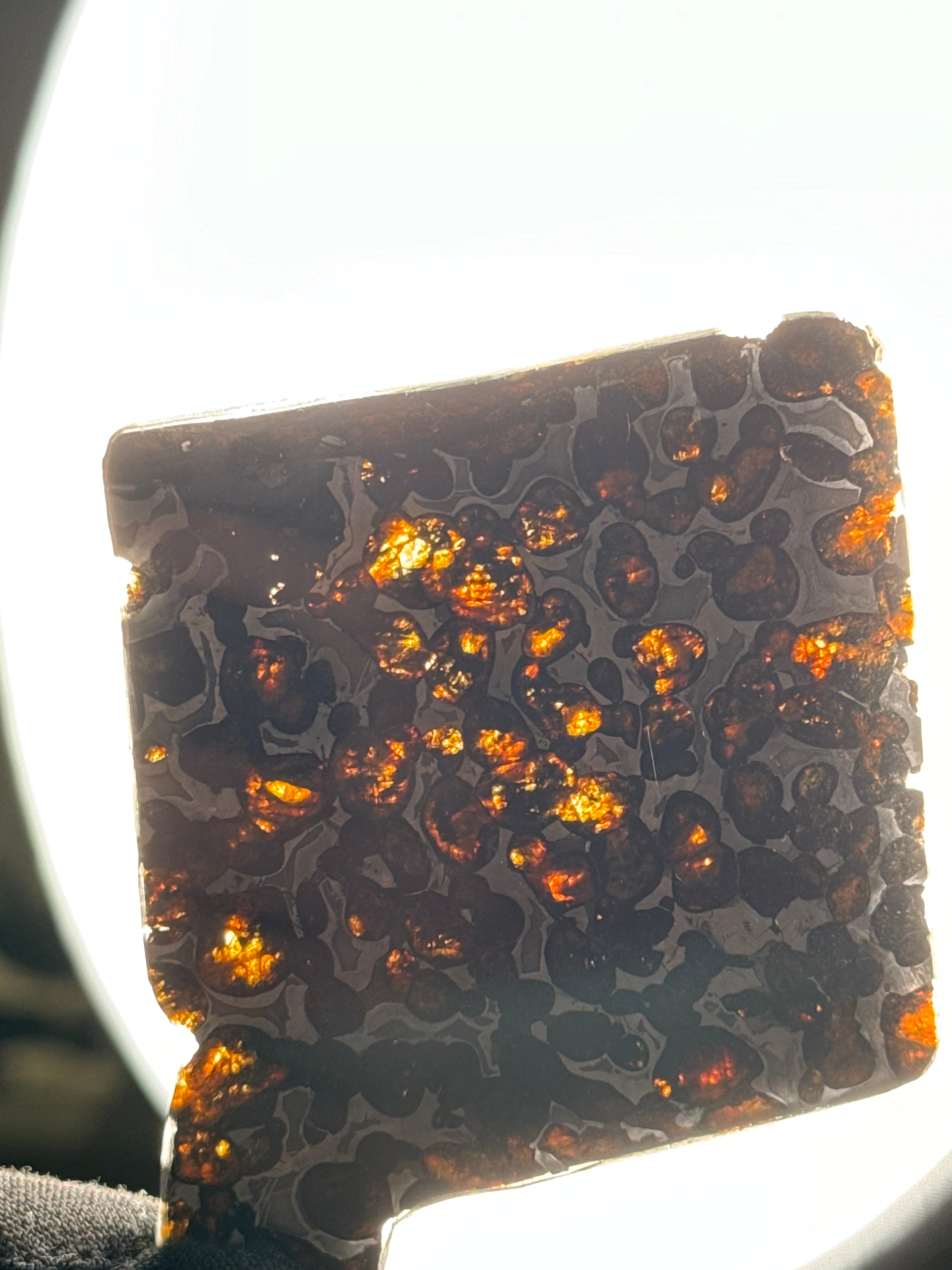 SERICHO METEORITE, KENYA. 30 GRAMS SLICE