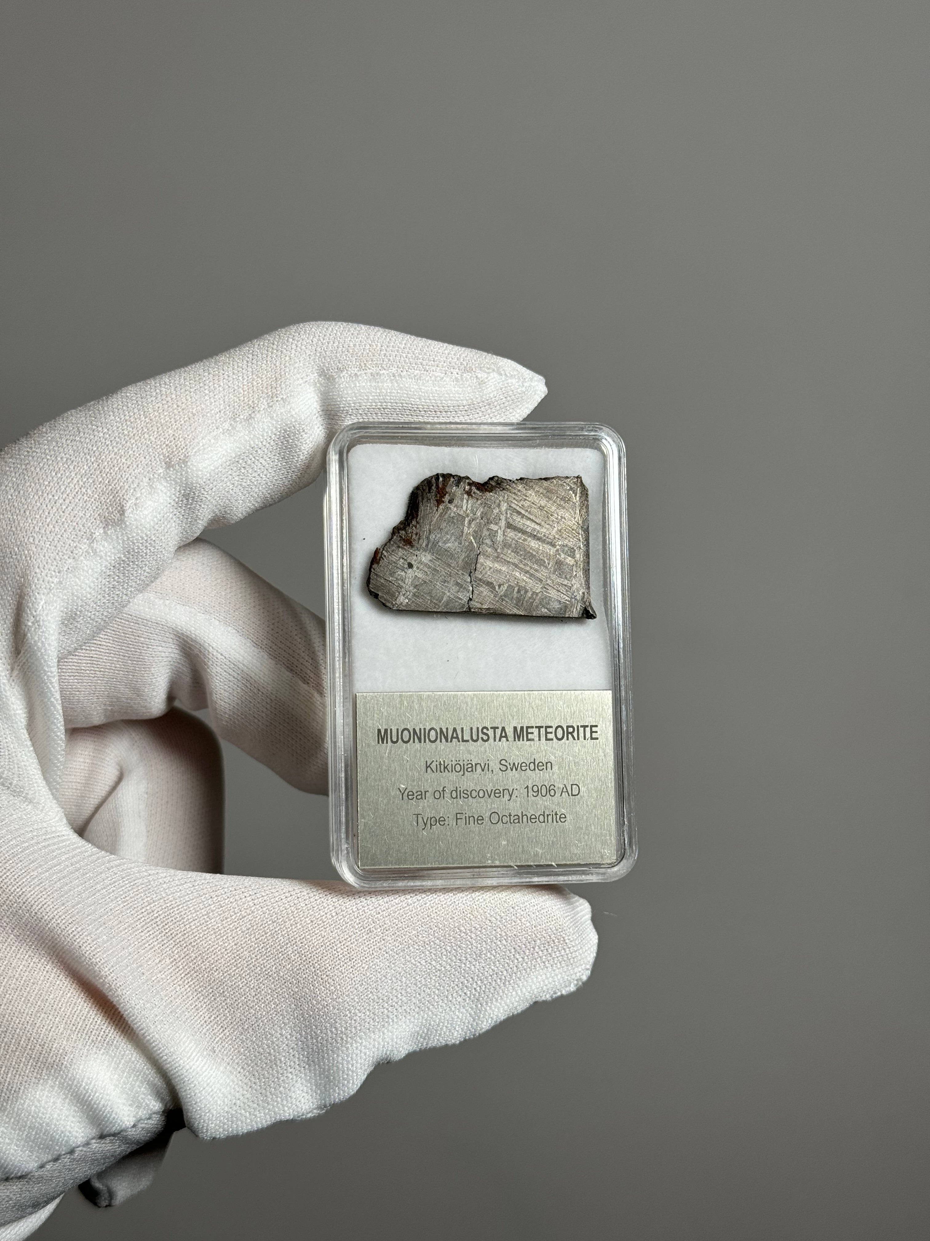 Muonionalusta meteorite, Sweden. 11,2 grams.