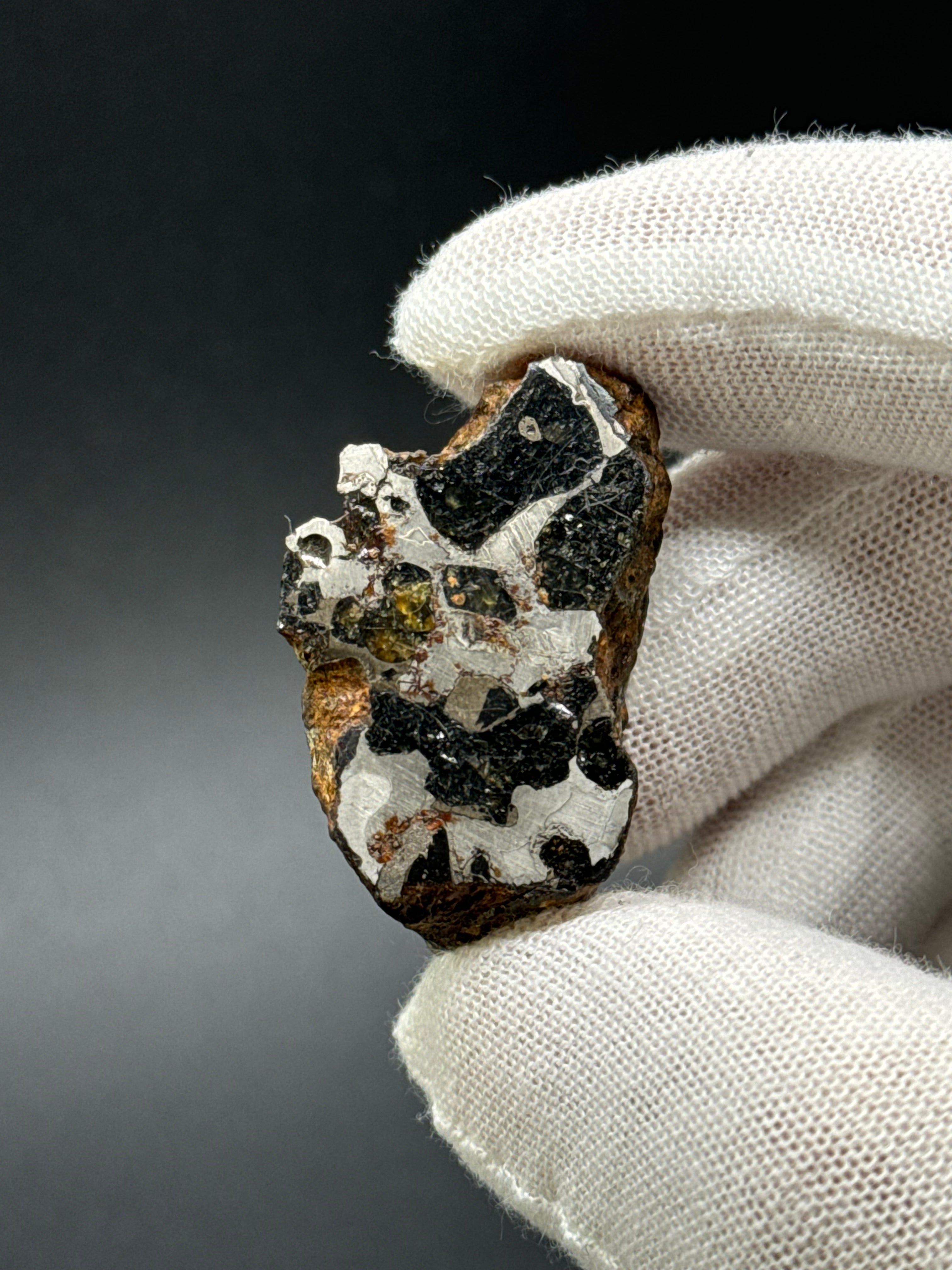 SERICHO PALLASITE METEORITE, KENYA. 31,69 GRAMS END-CUT.