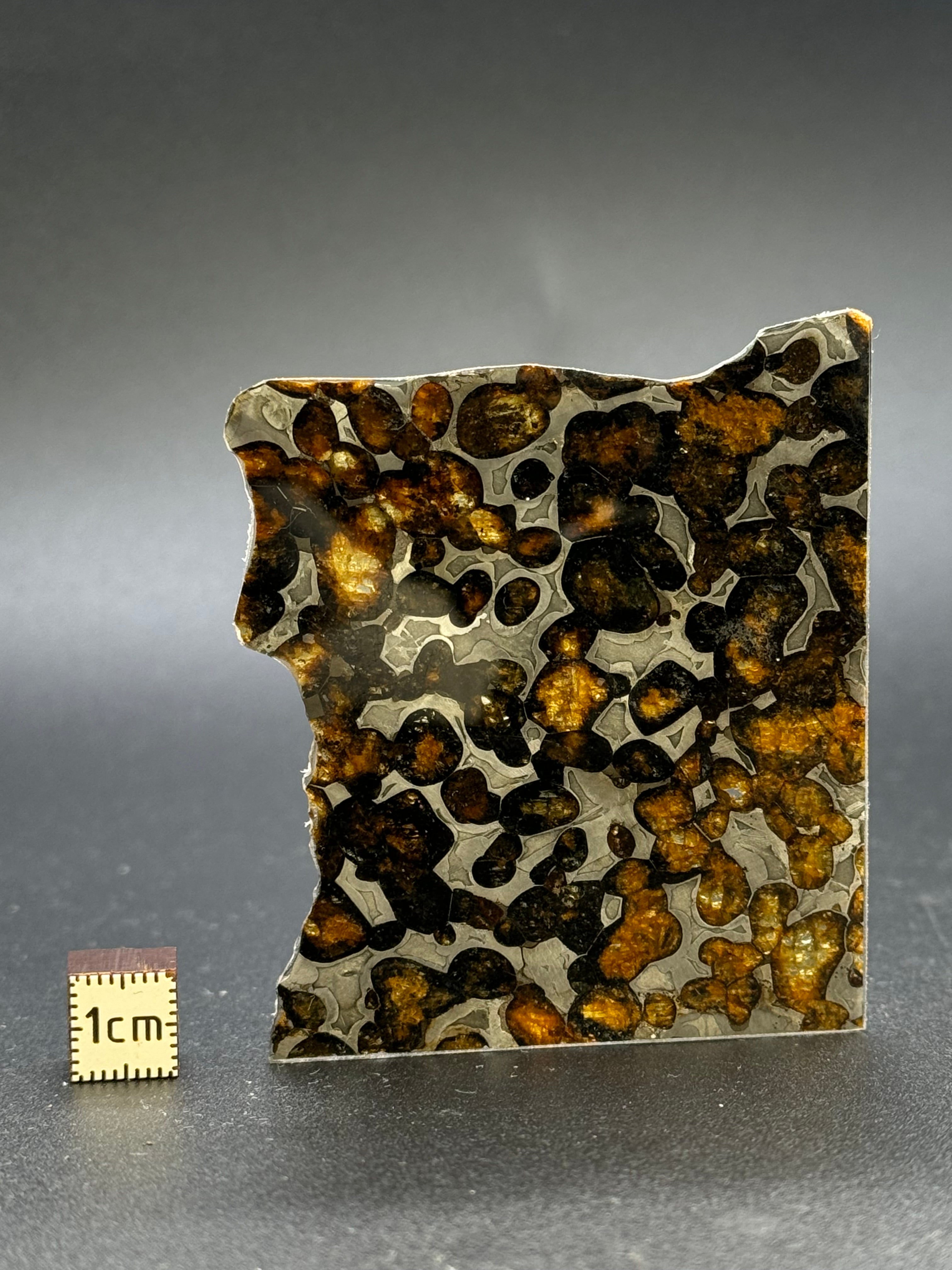 SERICHO METEORITE, KENYA. 20,8 GRAMS SLICE