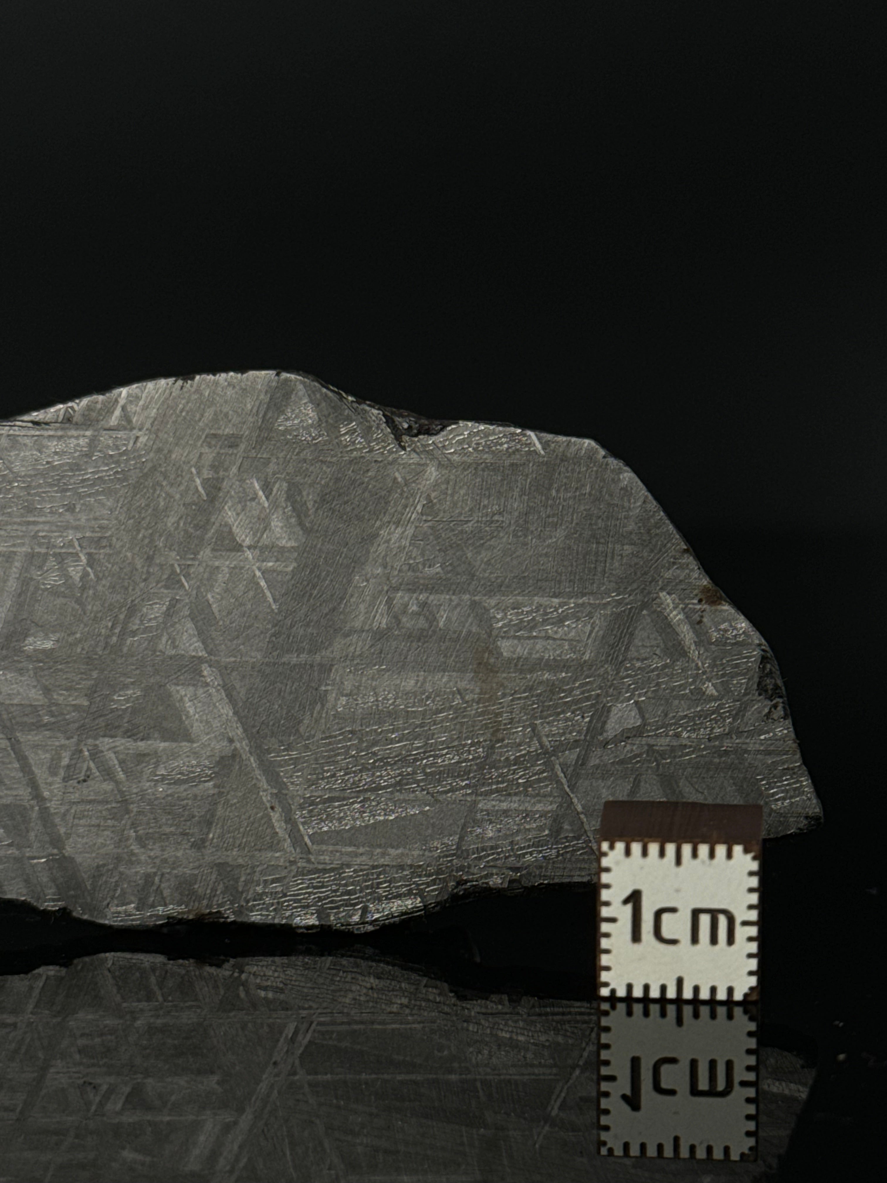 MUONIONALUSTA METEORITE, SWEDEN 49,32 GRAMS.