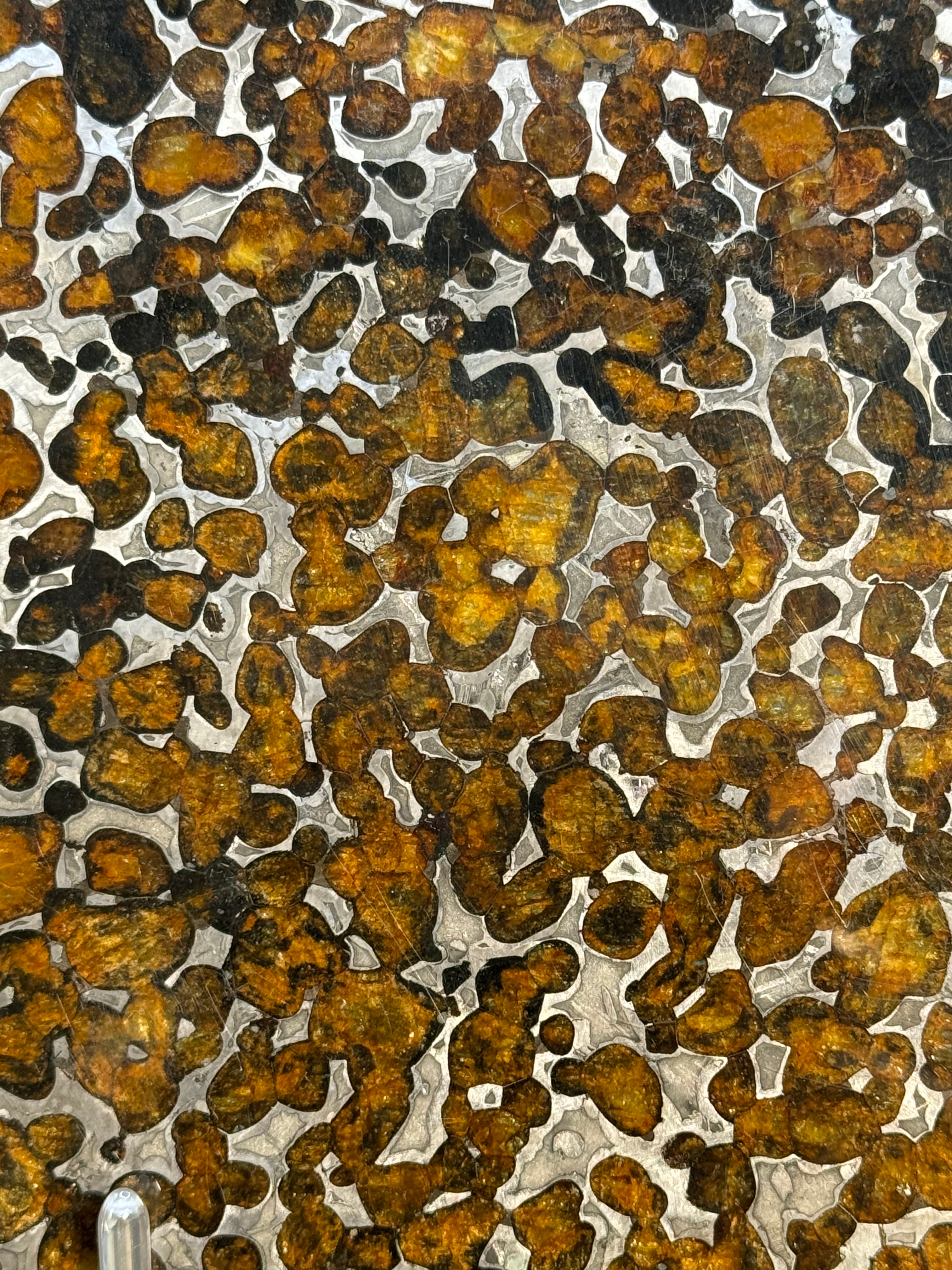 SERICHO METEORITE, KENYA. 87 GRAMS SLICE