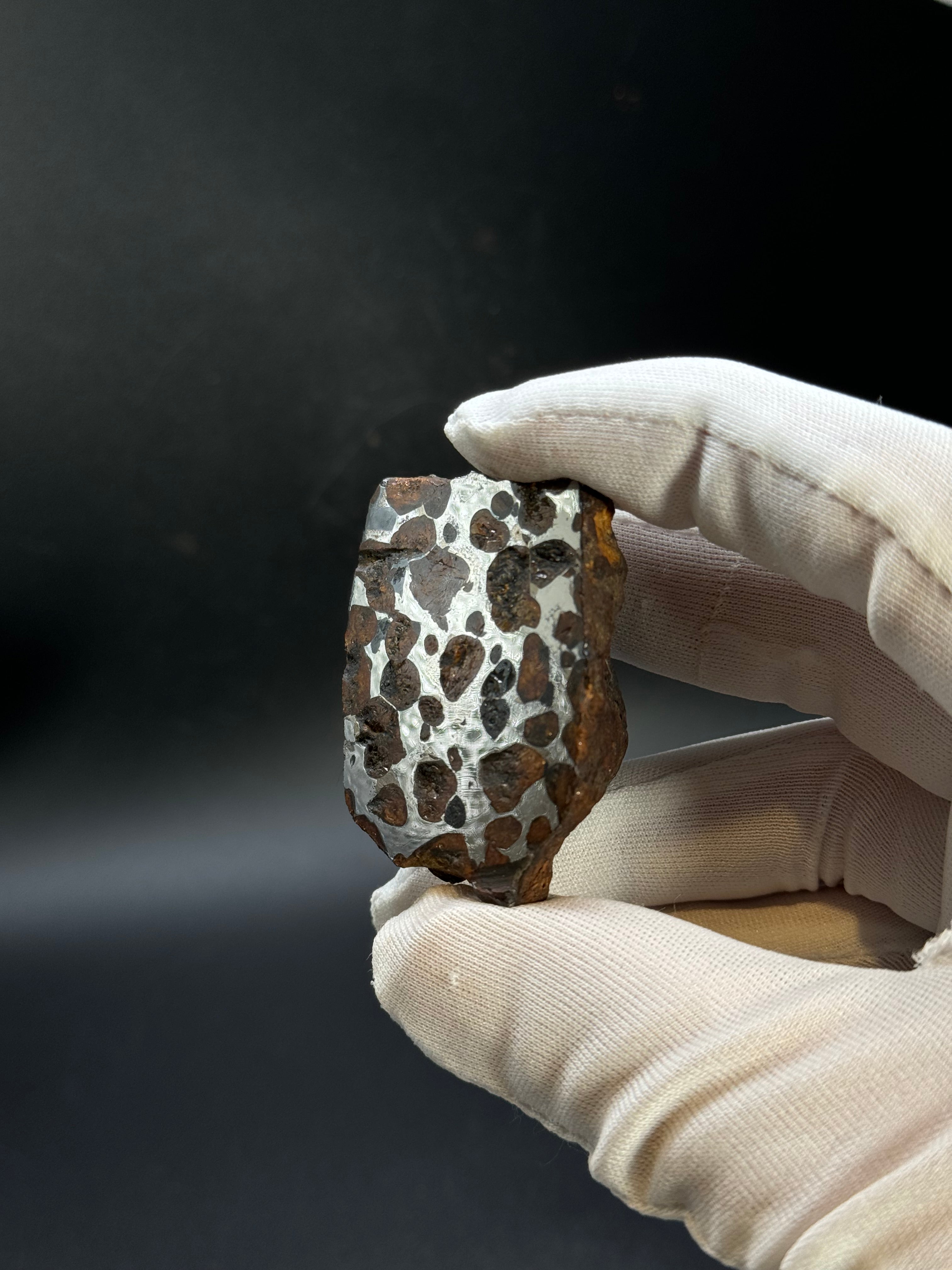 SERICHO PALLASITE METEORITE, KENYA. 92,90 GRAMS END-CUT.