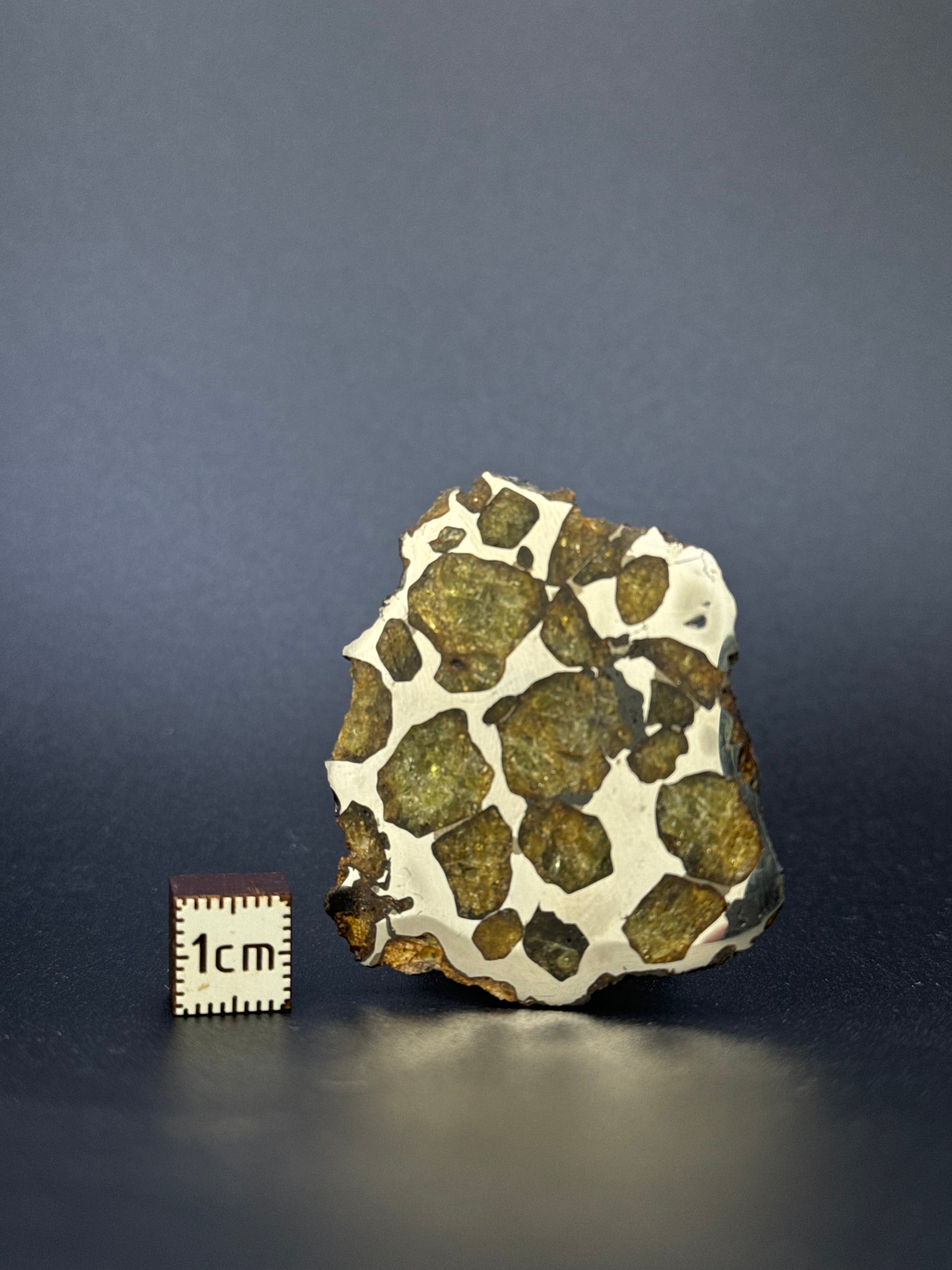 IMILAC PALLASITE METEORITE, END CUT, CHILE. 35,10 GRAMS.