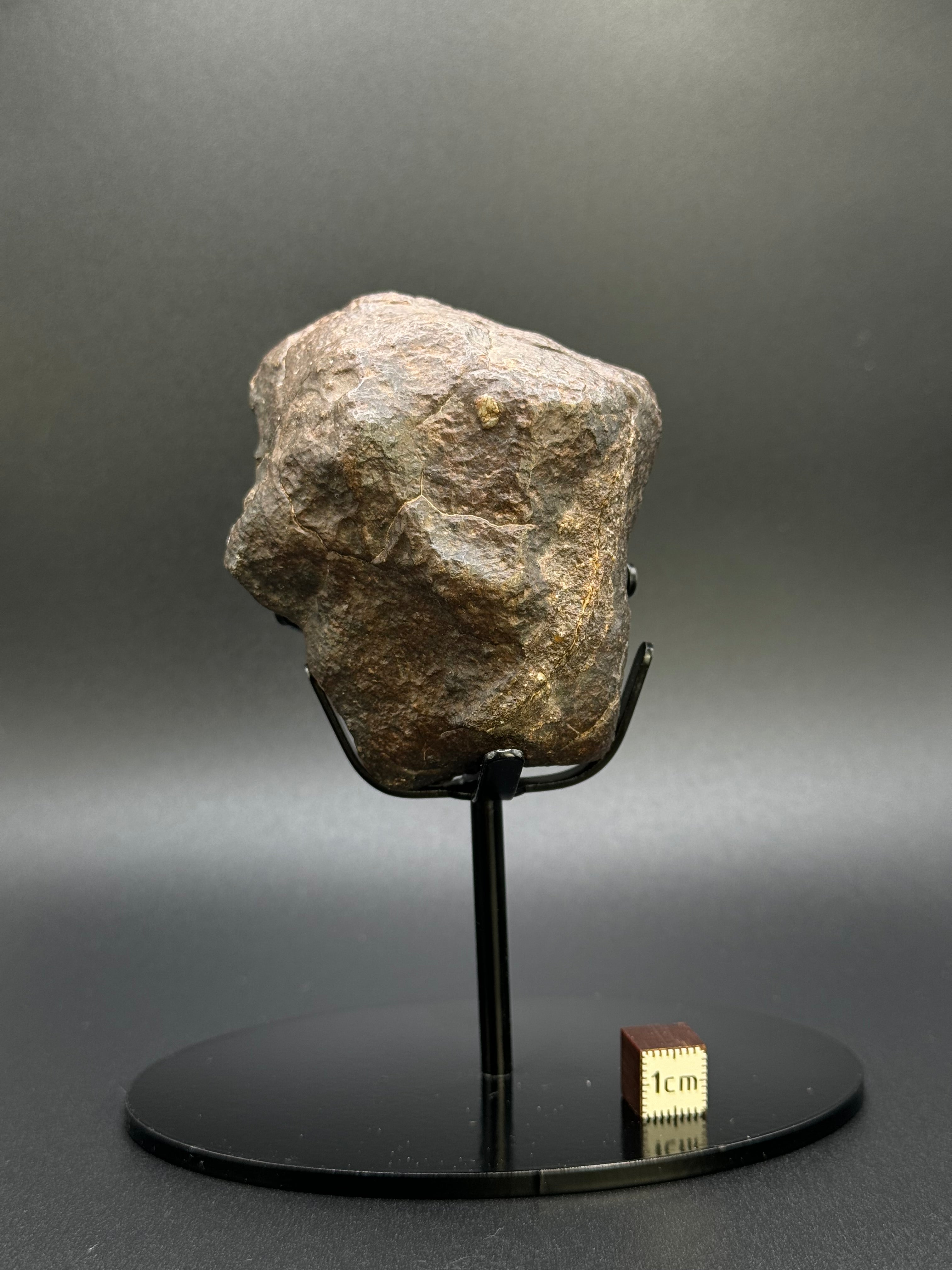 CHONDRITE METEORITE, NORTH WEST AFRICA. 368 GRAMS.
