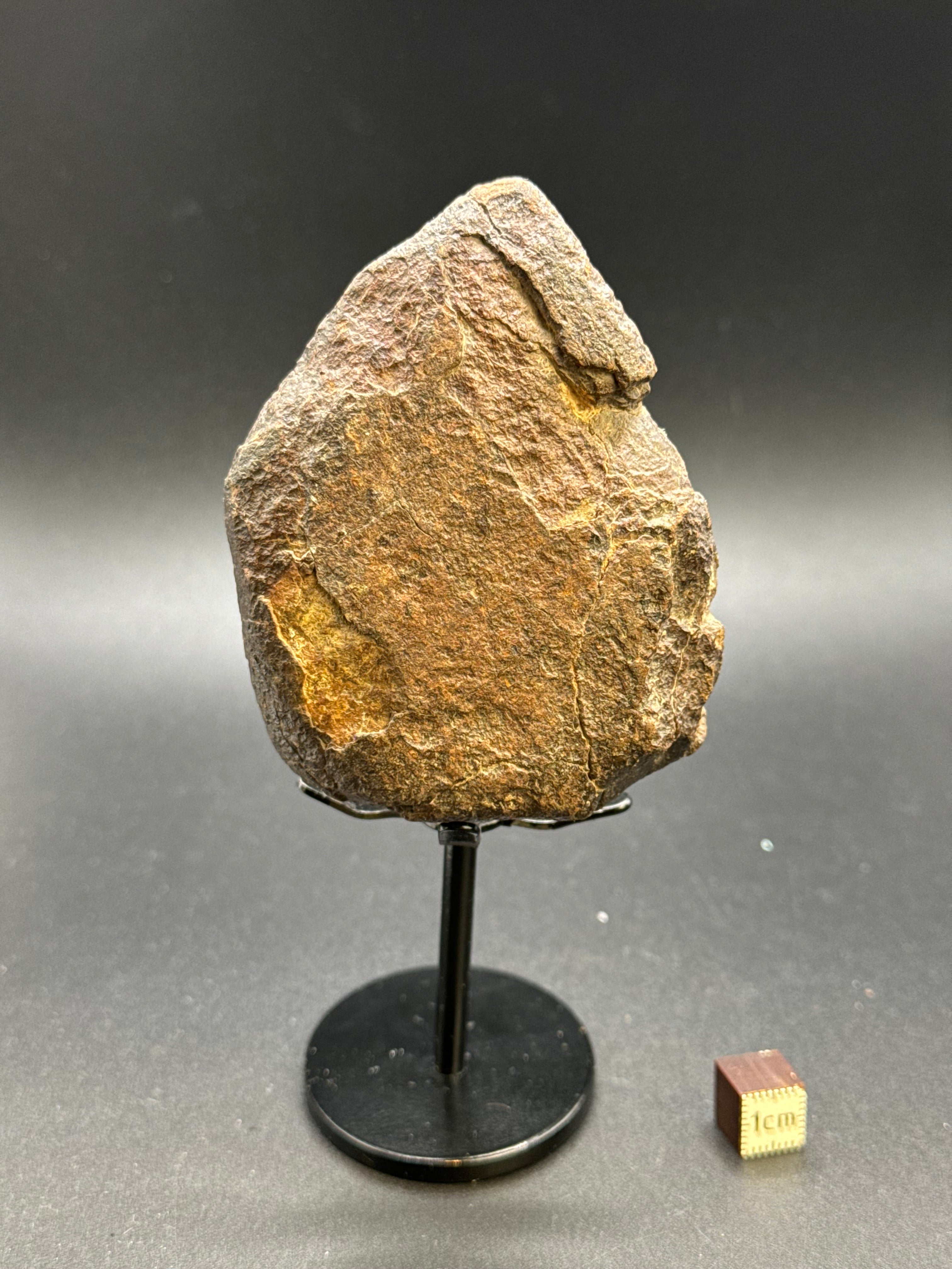 CHONDRITE METEORITE, NORTH WEST AFRICA. 232 GRAMS.