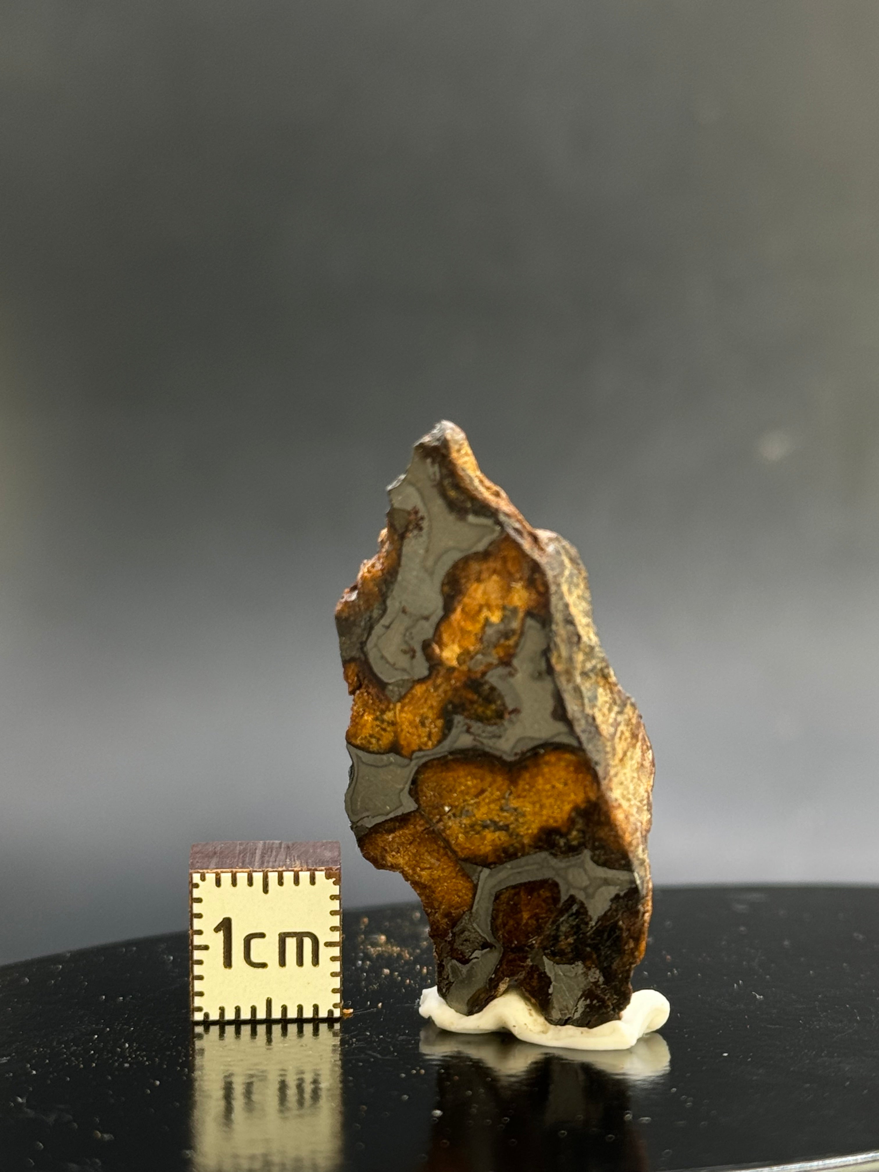 SERICHO PALLASITE METEORITE, KENYA. 13,63 GRAMS END-CUT.