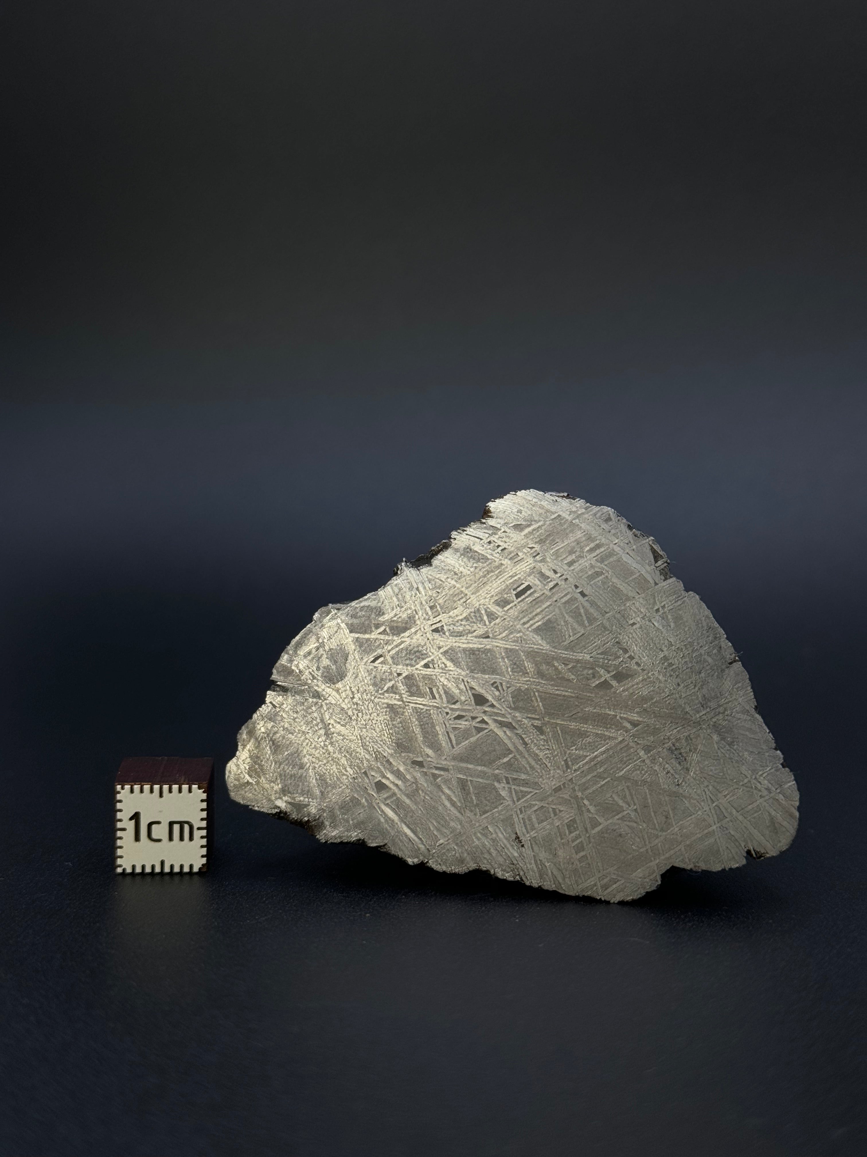 MUONIONALUSTA METEORITE, SWEDEN. 242 GRAMS END-CUT.