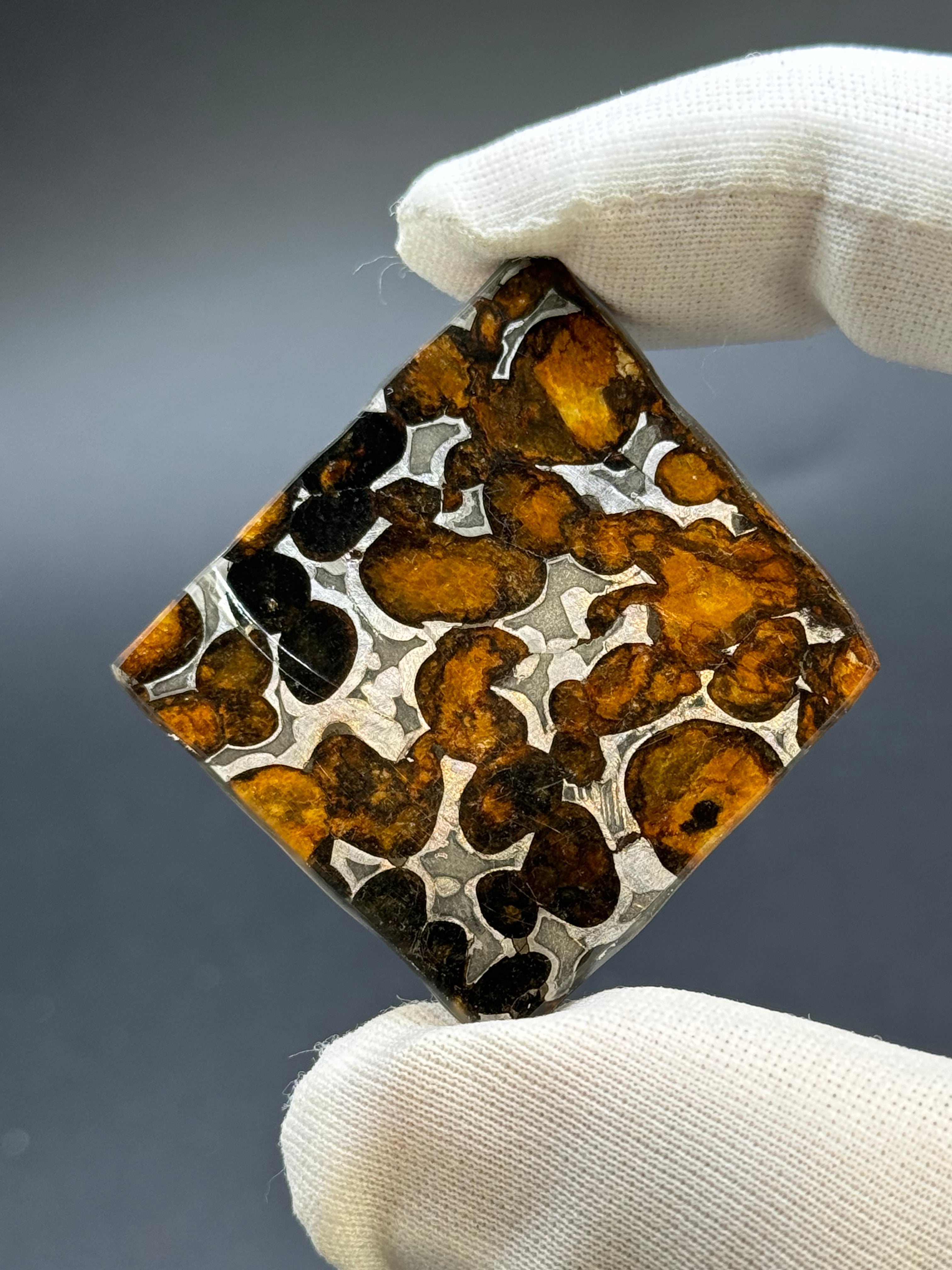 SERICHO METEORITE, KENYA. 9,38 GRAMS SLICE